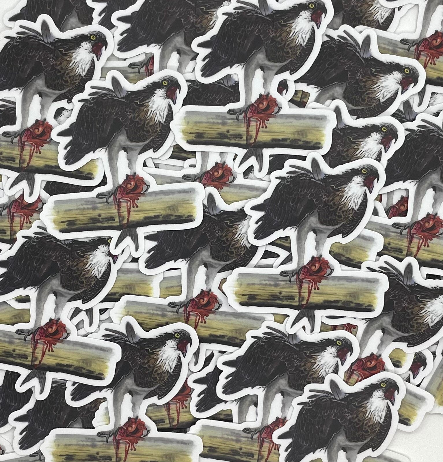 Osprey - Bird Art by KB