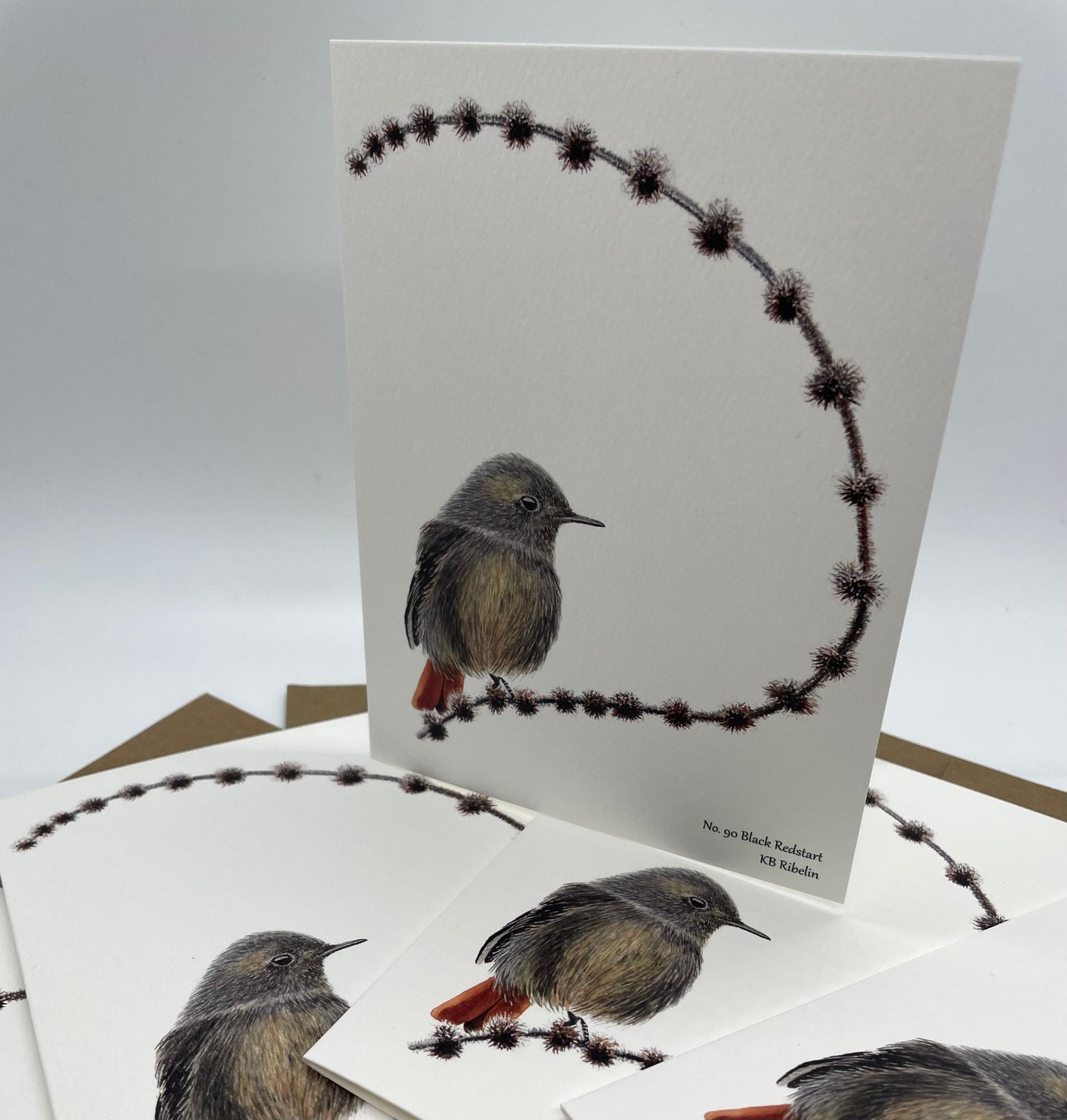 Black Redstart - Bird Art by KB