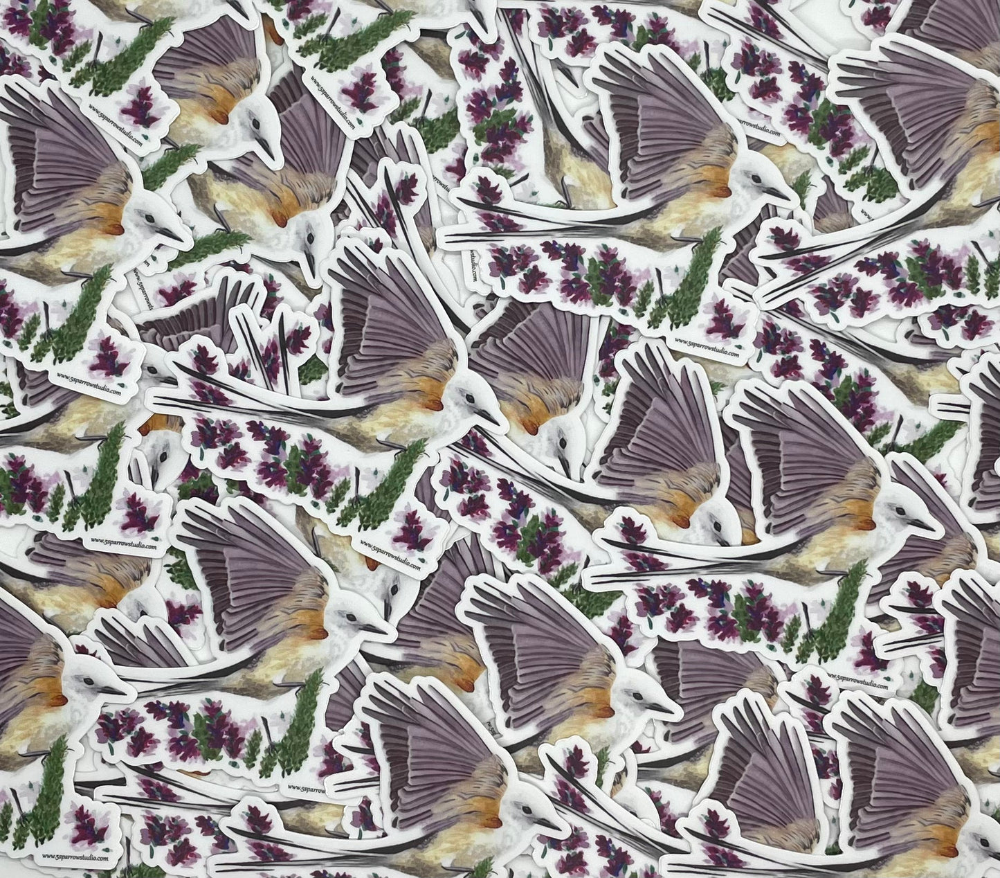 Scissortail Flycatcher - Bird Art by KB
