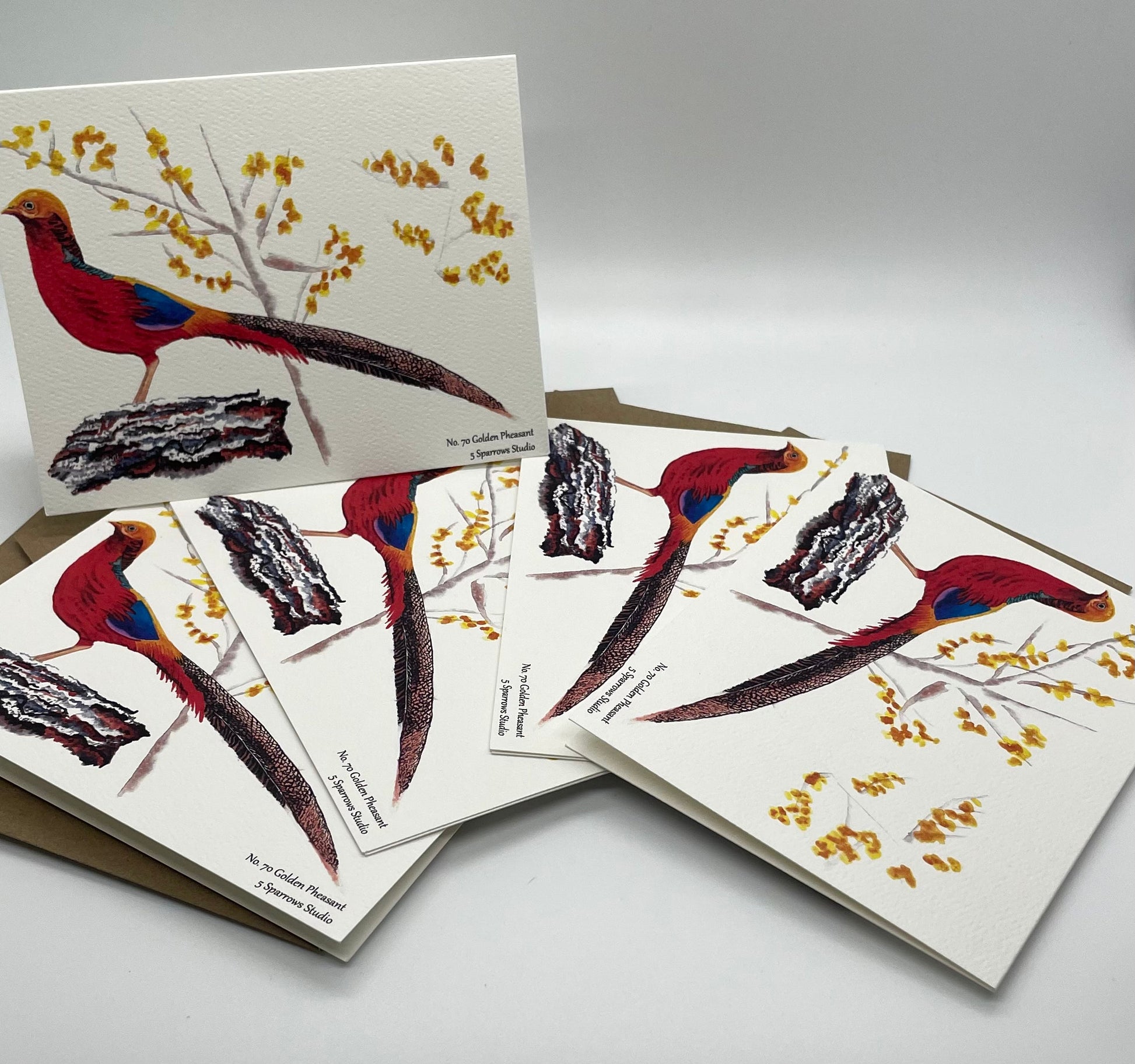 Golden Pheasant - Bird Art by KB