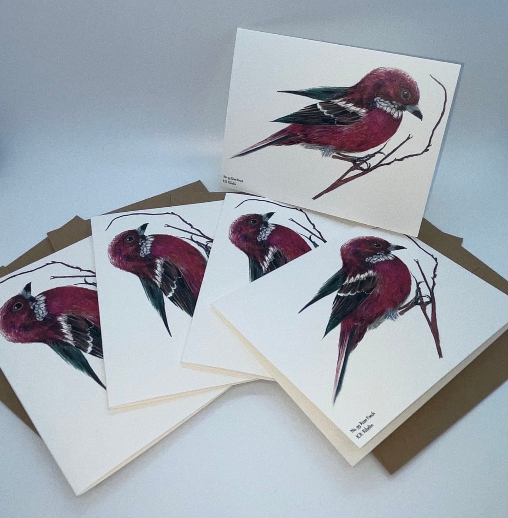 Rose Finch - Bird Art by KB
