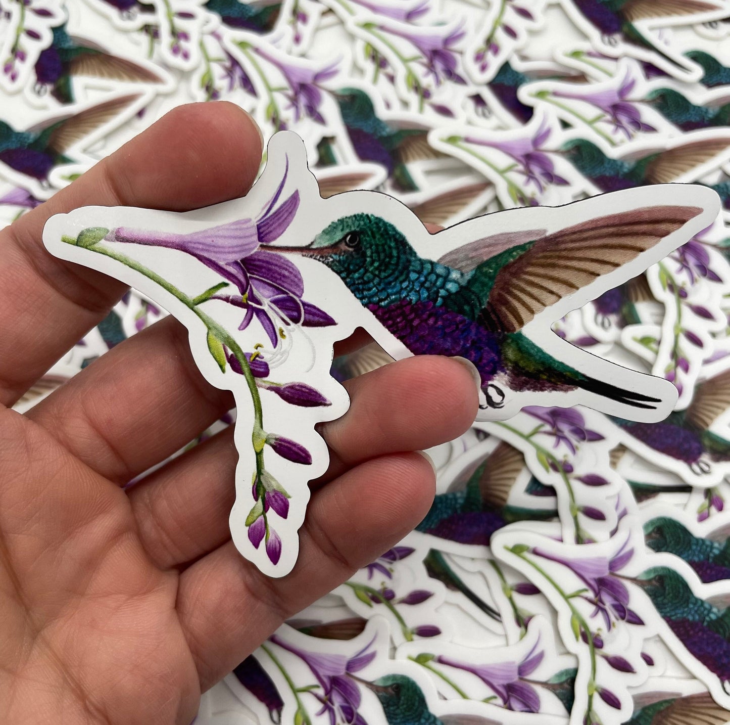 Violet-bellied Hummingbird - Bird Art by KB