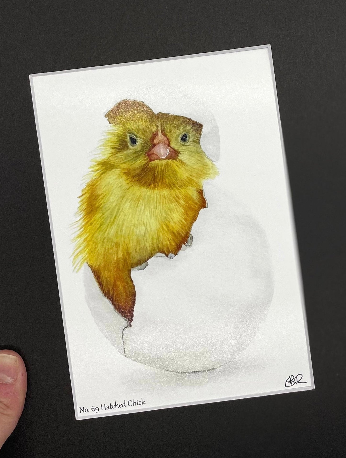 Chick (Hatched) - Bird Art by KB