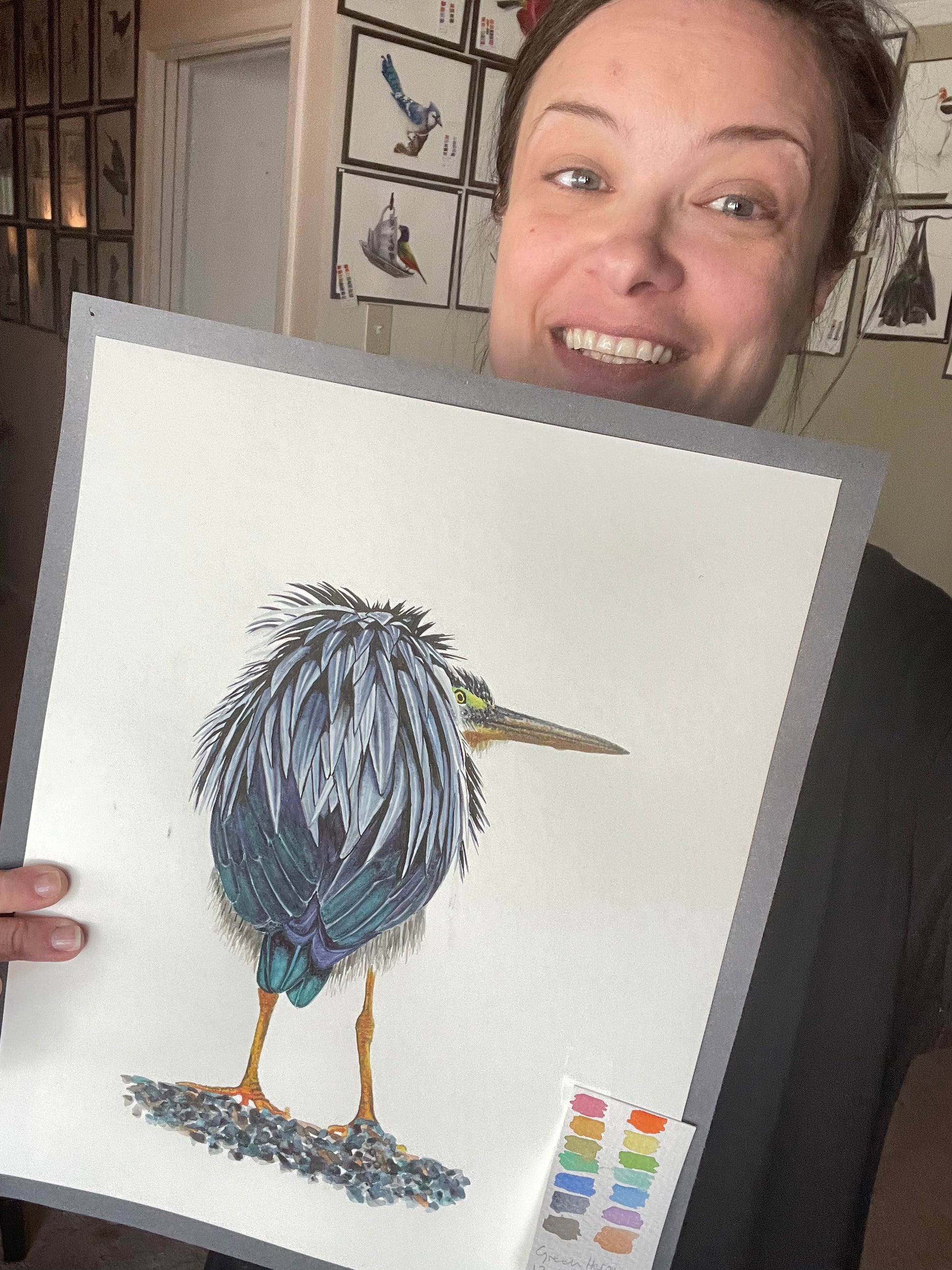 Green Heron - Bird Art by KB