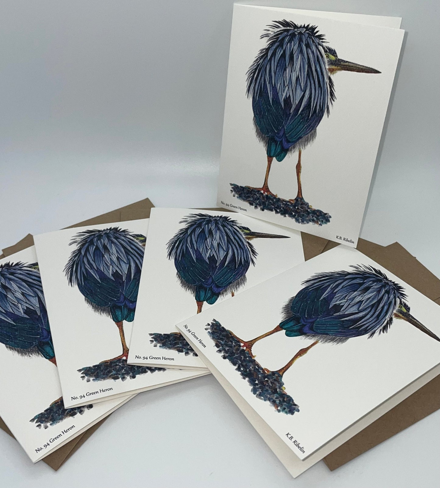 Green Heron - Bird Art by KB