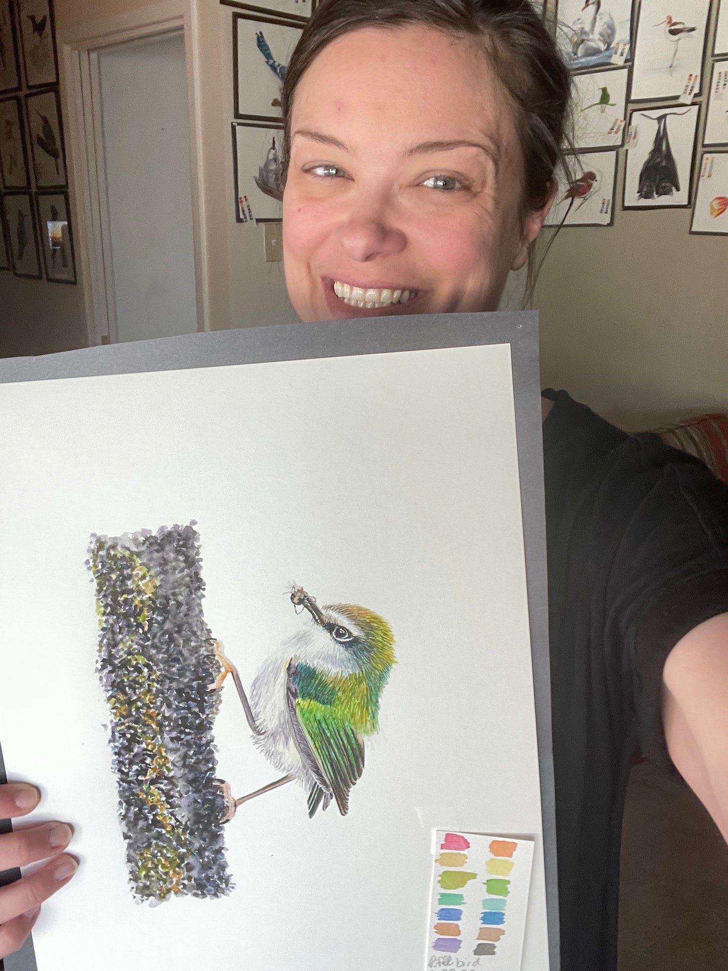 Rifleman - Bird Art by KB