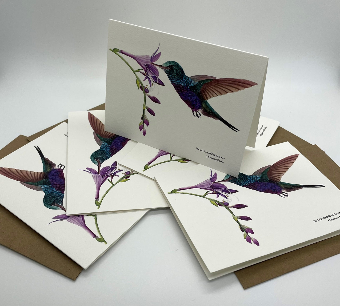 Violet-bellied Hummingbird - Bird Art by KB