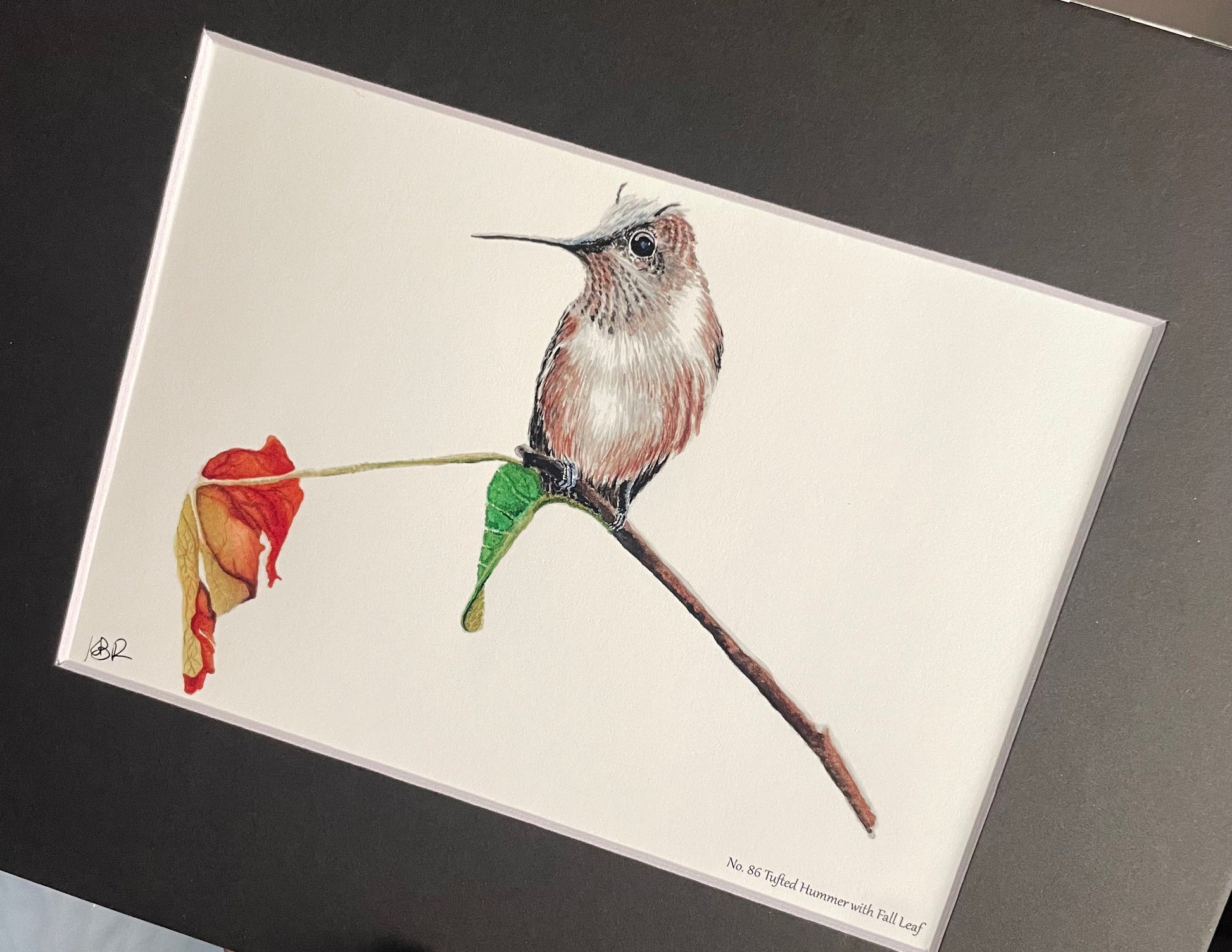 Tufted Hummingbird with Fall Leaf - Bird Art by KB