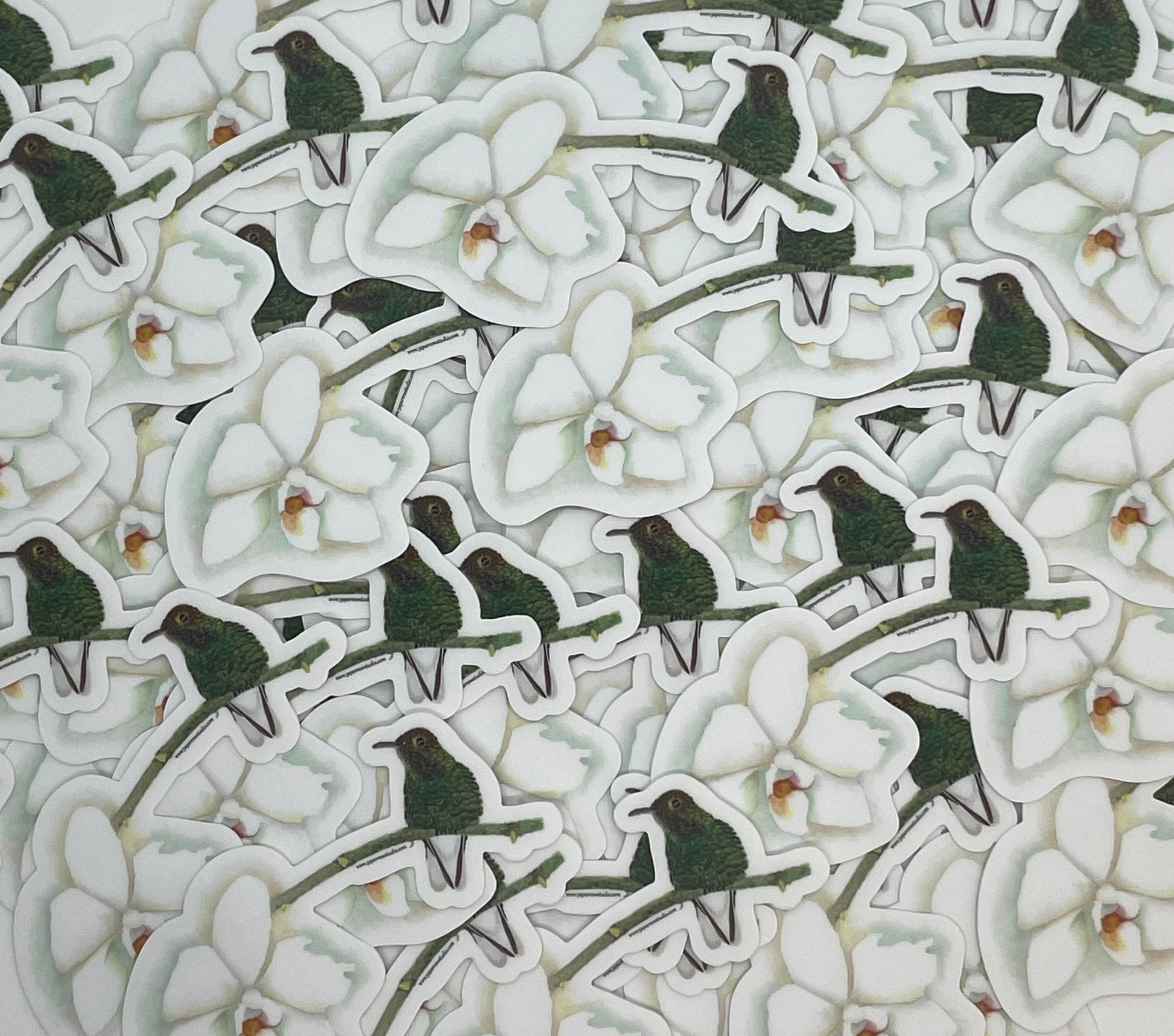 Coppery-Headed Hummingbird - Bird Art by KB
