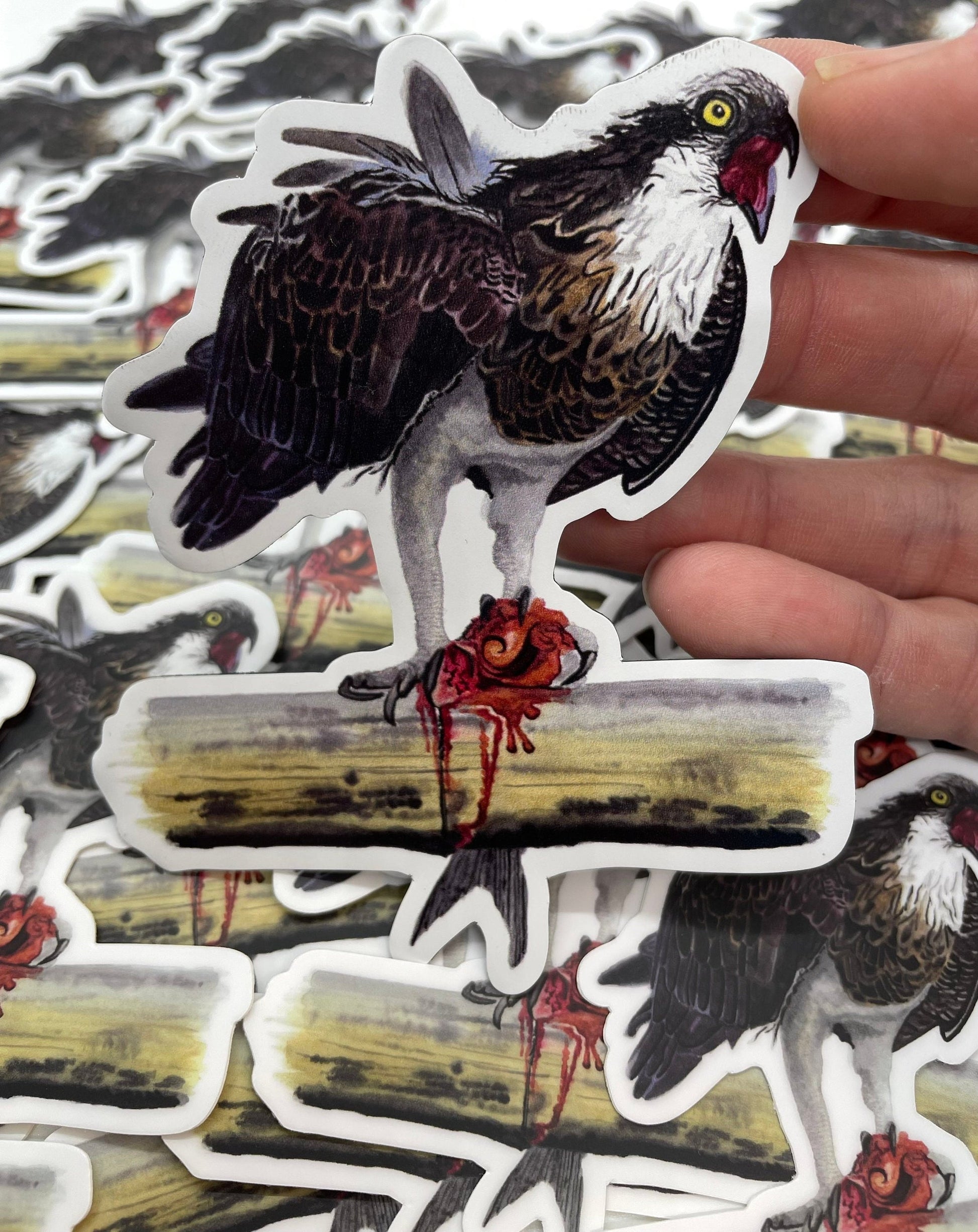Osprey - Bird Art by KB