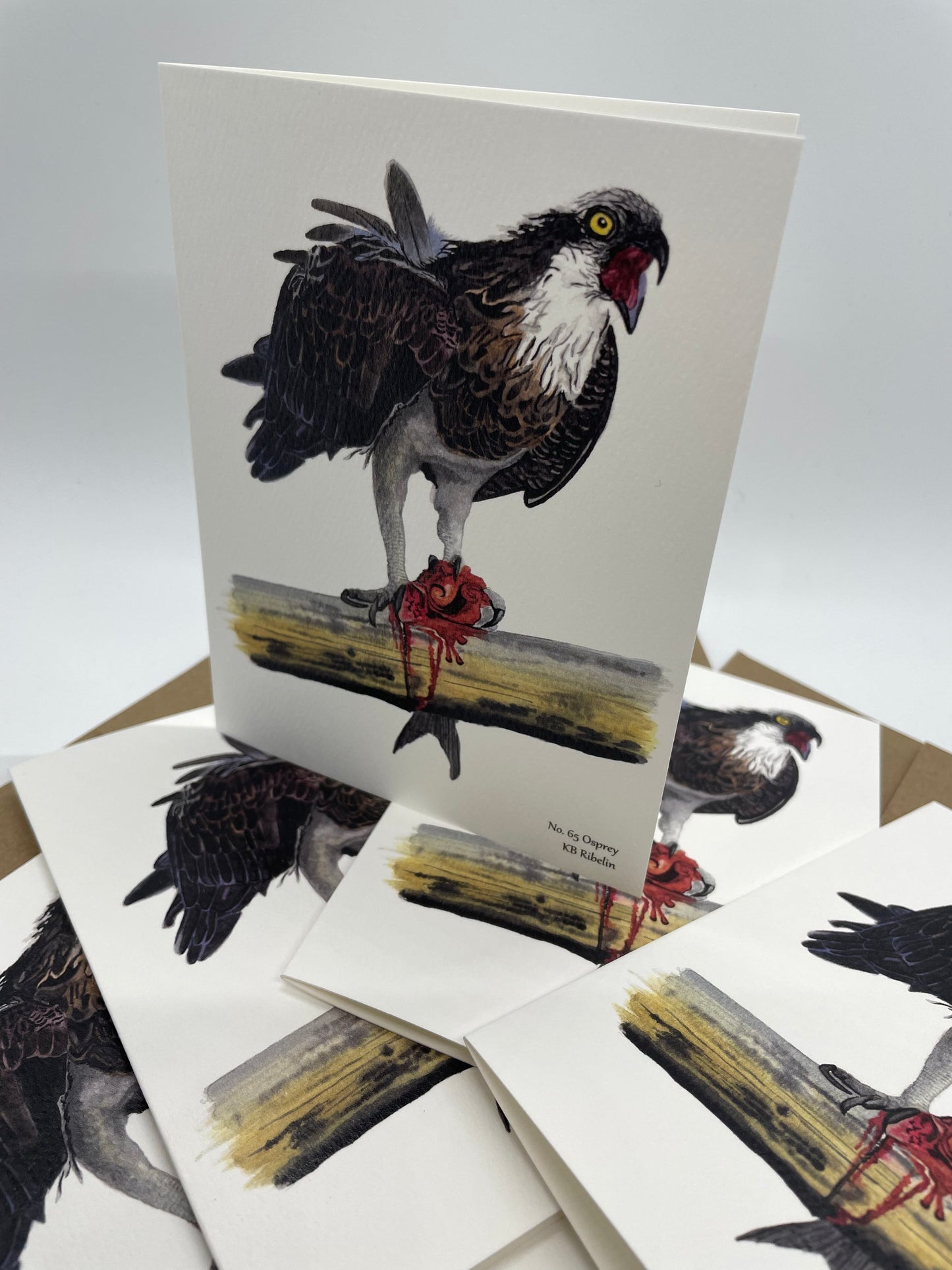 Osprey - Bird Art by KB