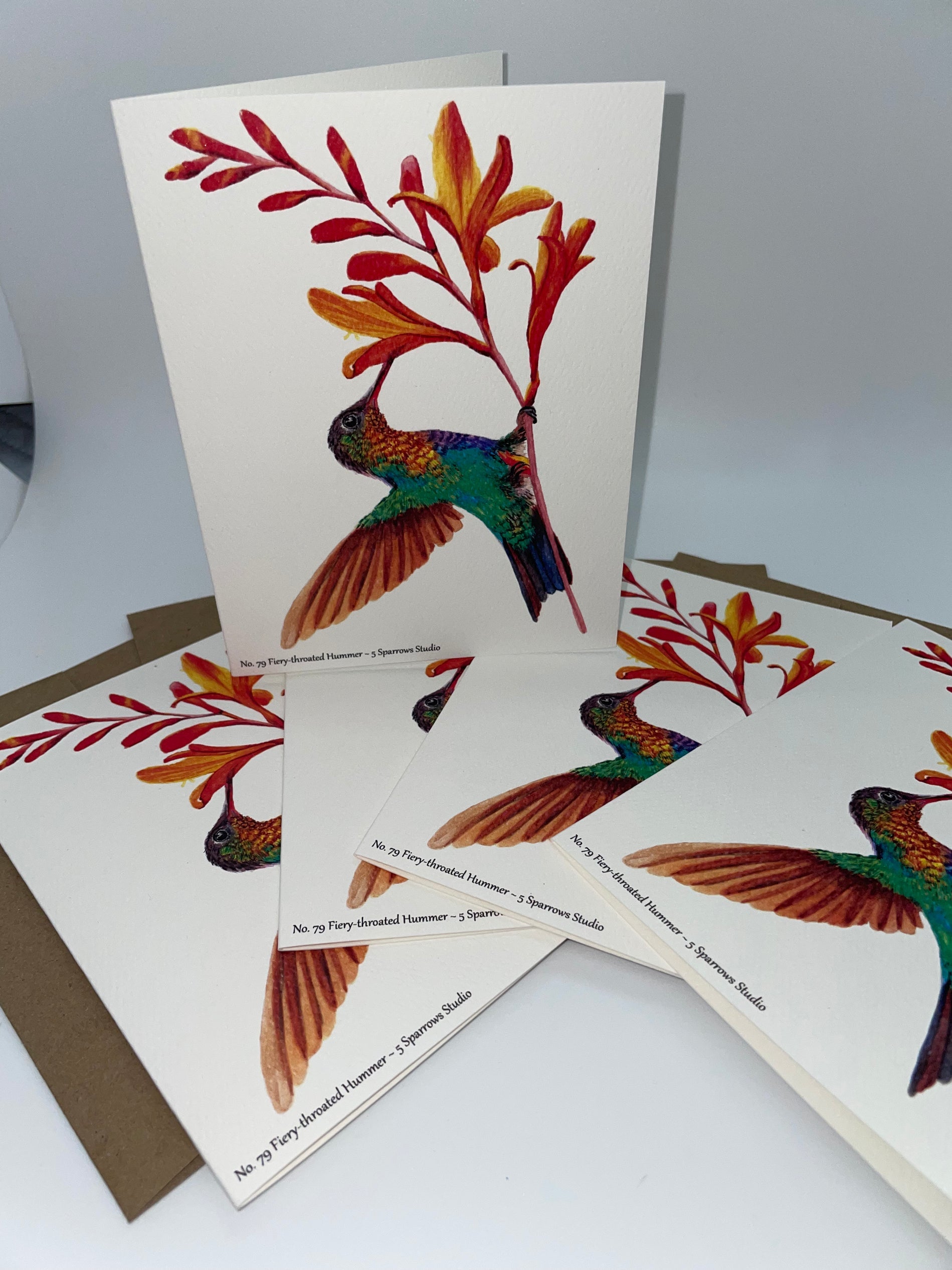Fiery-Throated Hummingbird - Bird Art by KB