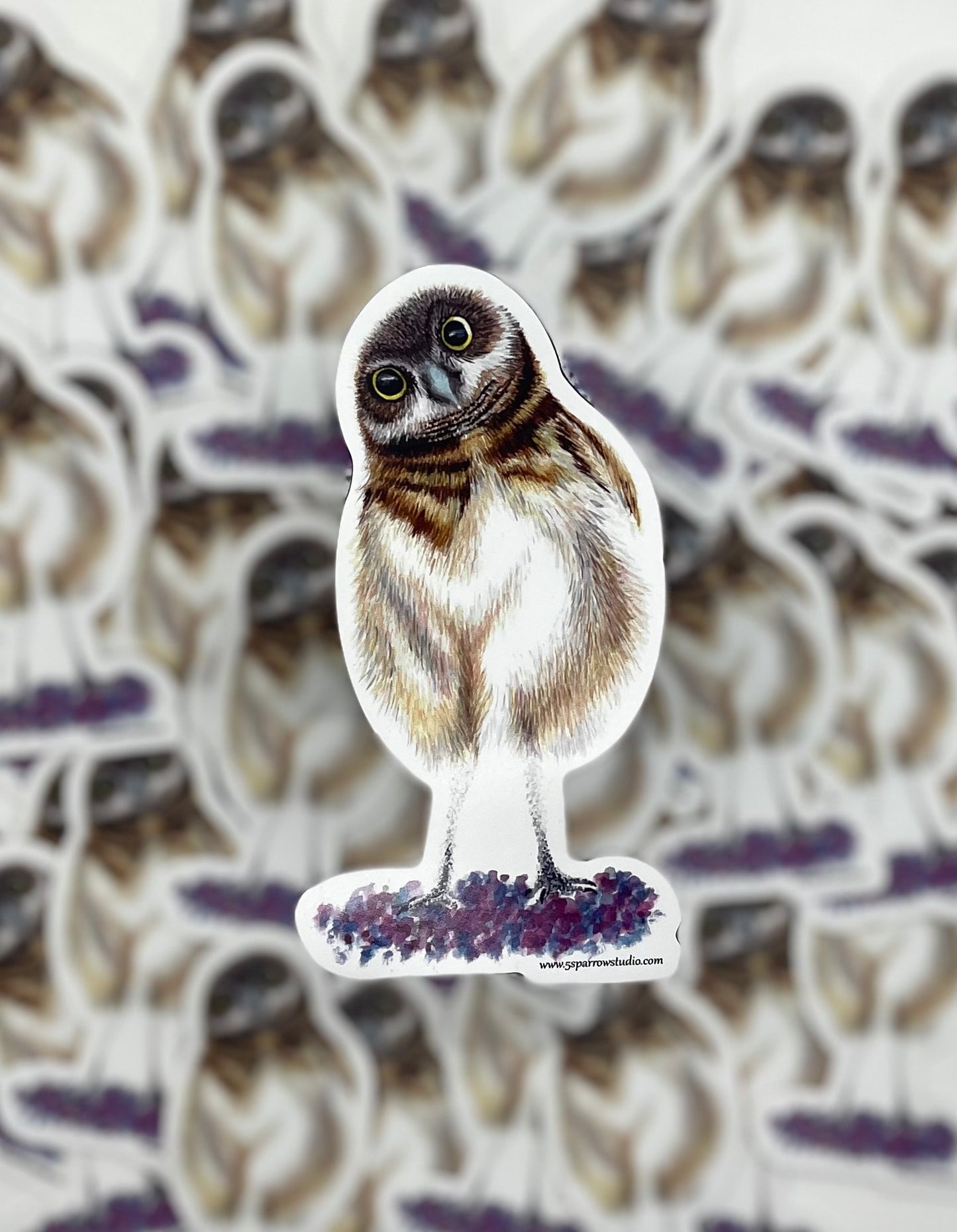 Burrowing Owl - Bird Art by KB