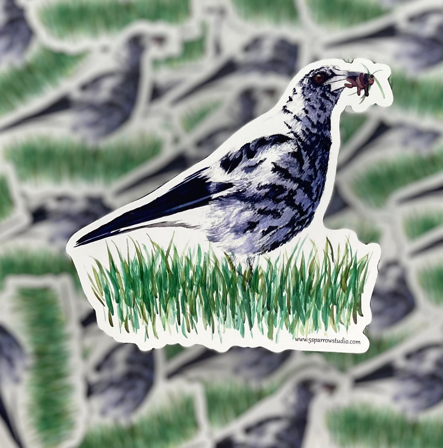 Dalmatian Magpie - Bird Art by KB