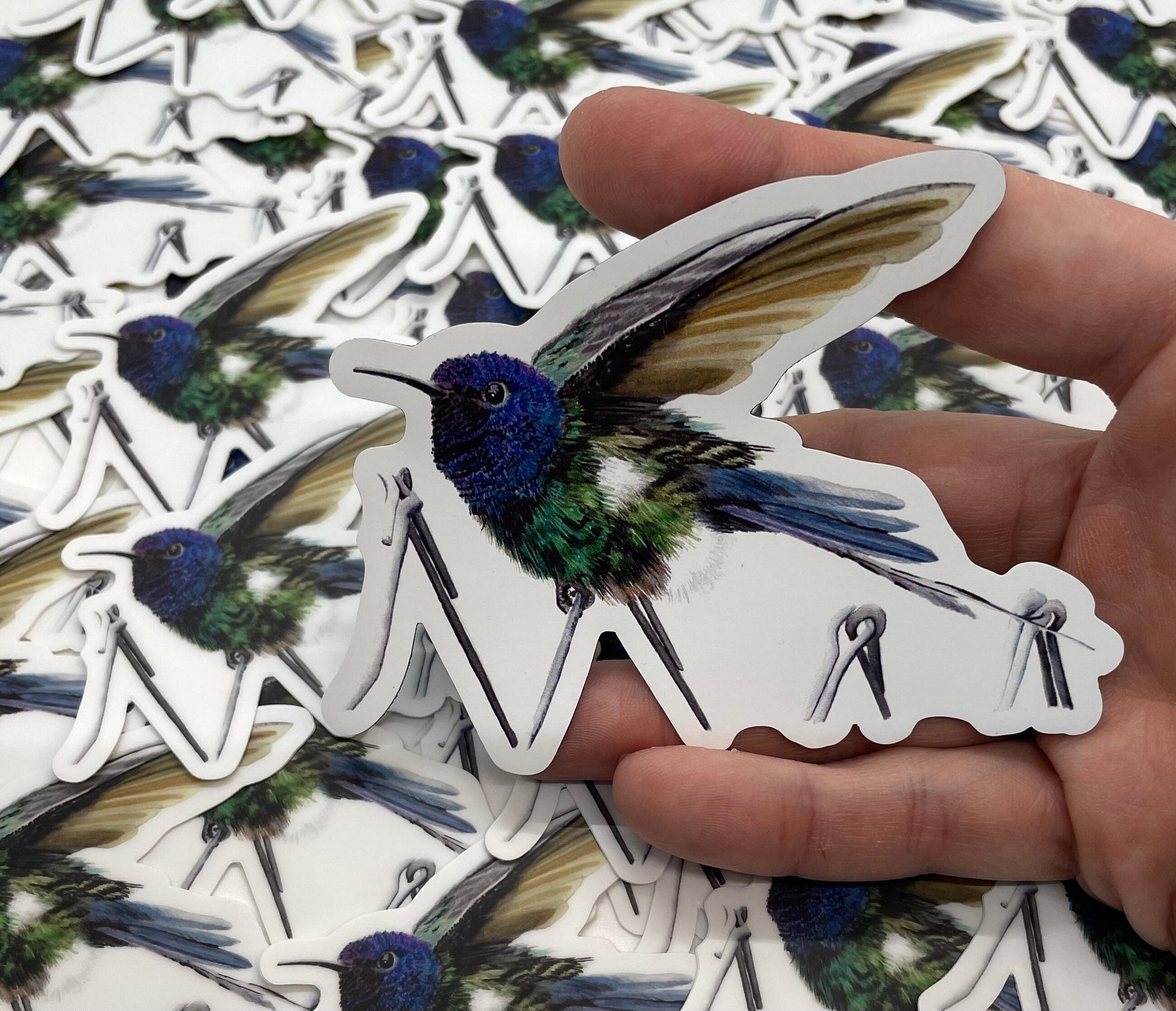Swallow-Tailed Hummingbird - Bird Art by KB