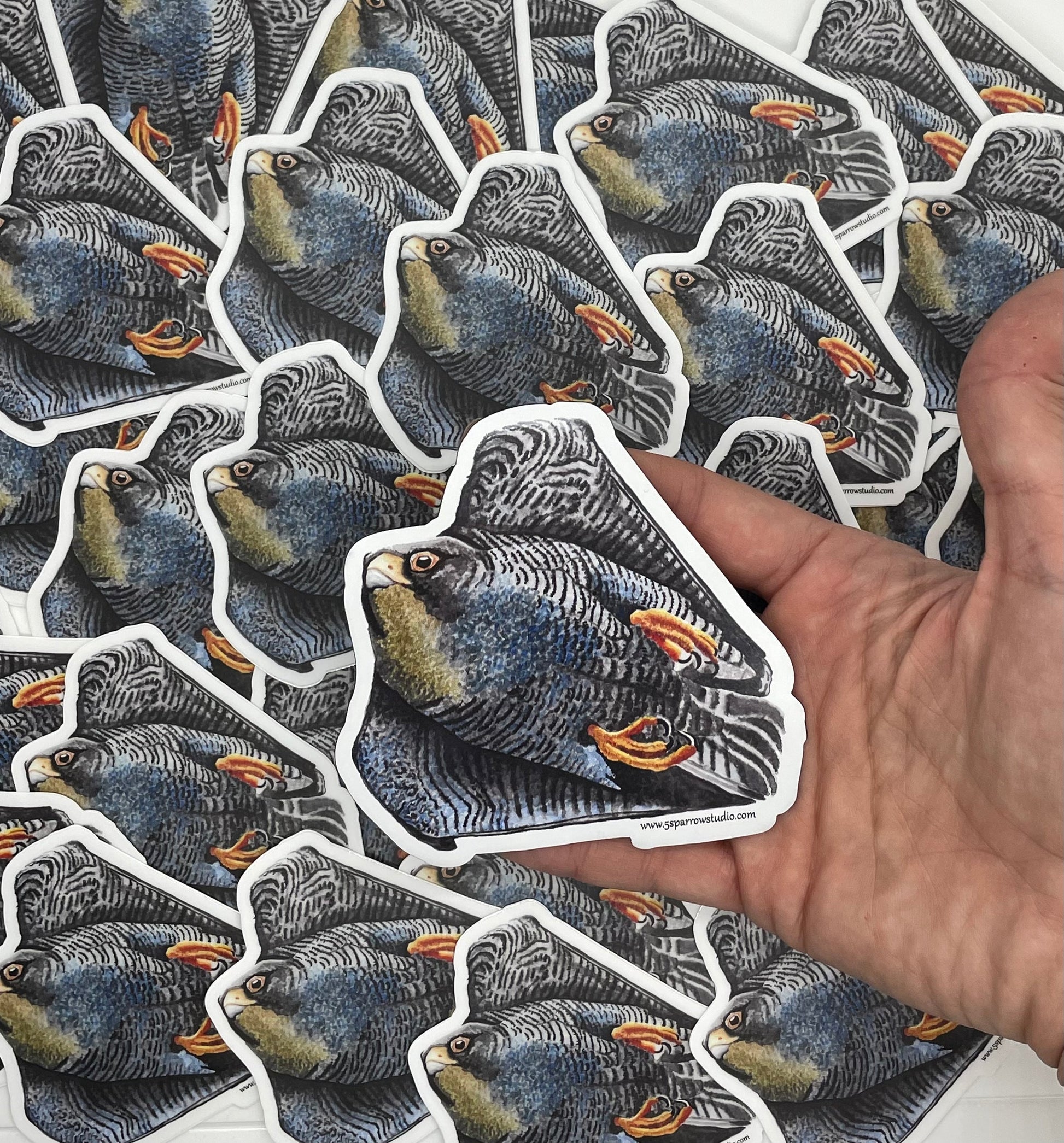 Peregrine Falcon - Bird Art by KB