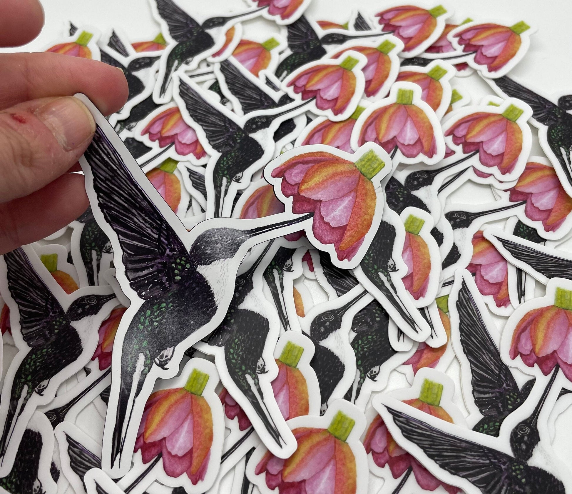 Collared Inca Hummingbird - Bird Art by KB