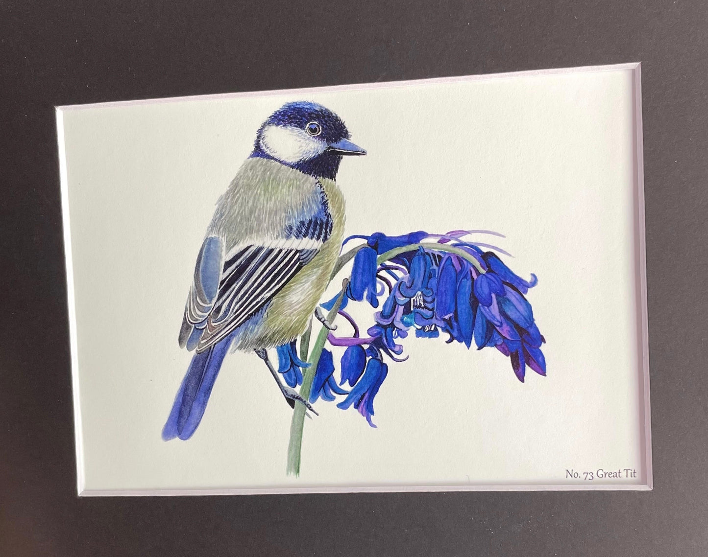 Great Tit - Bird Art by KB