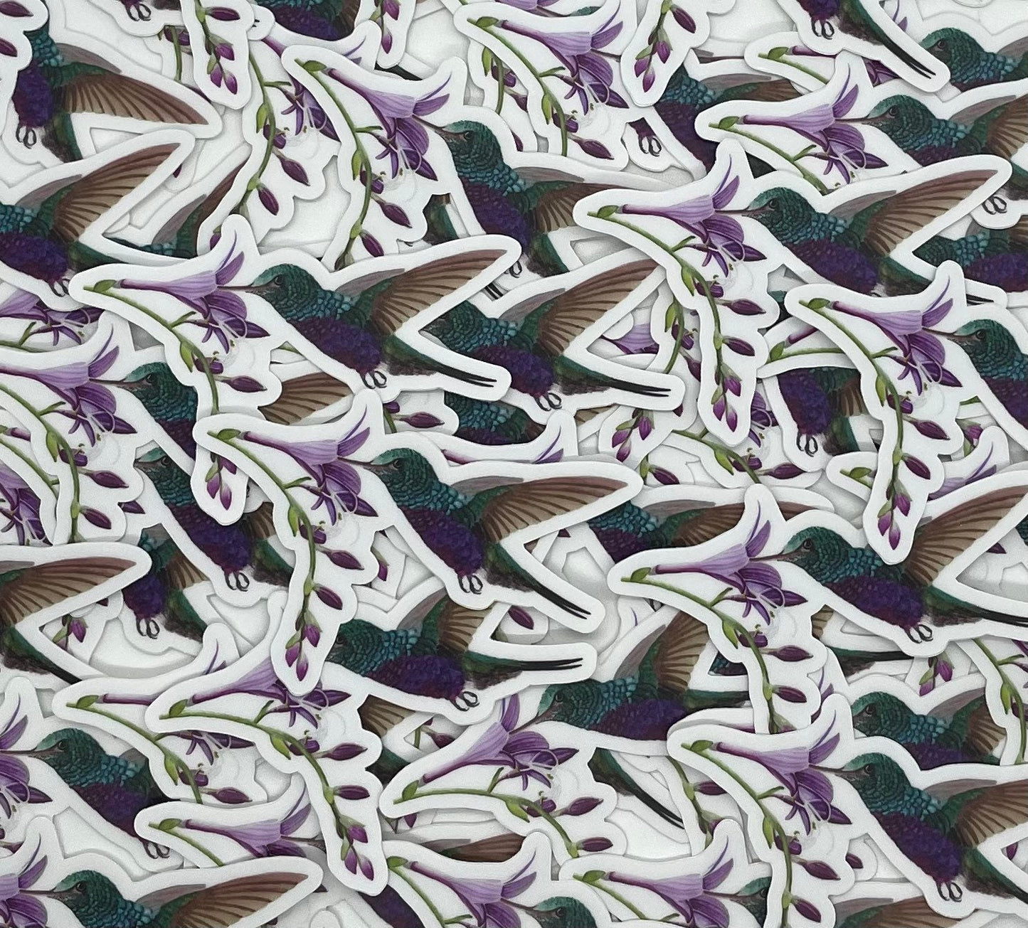 Violet-bellied Hummingbird - Bird Art by KB