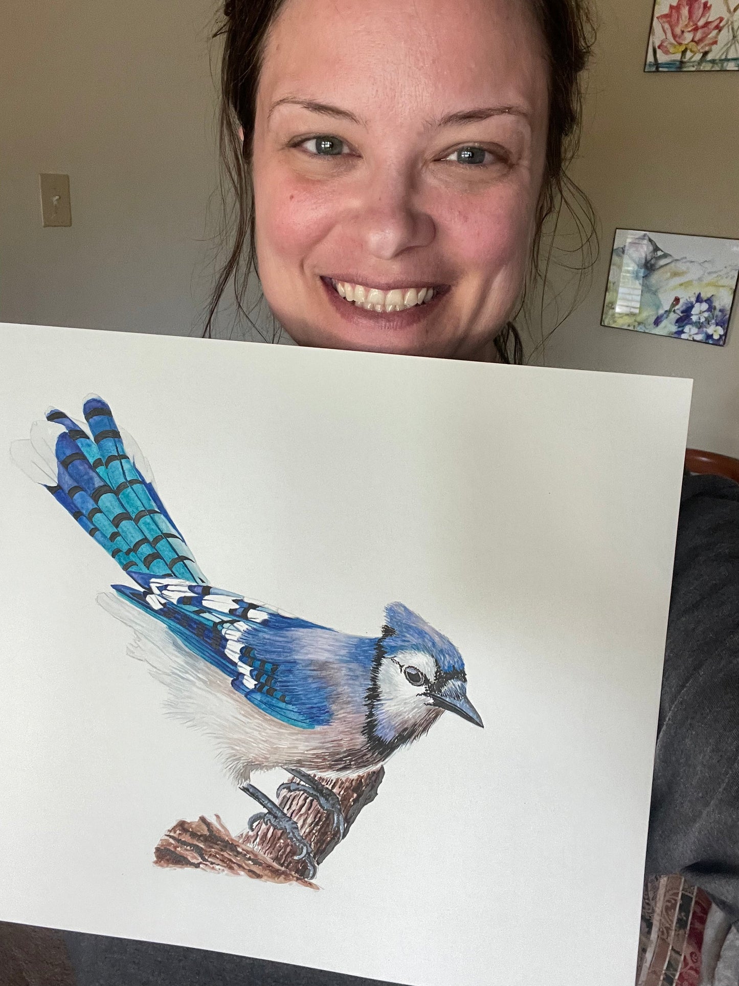Blue Jay - Bird Art by KB