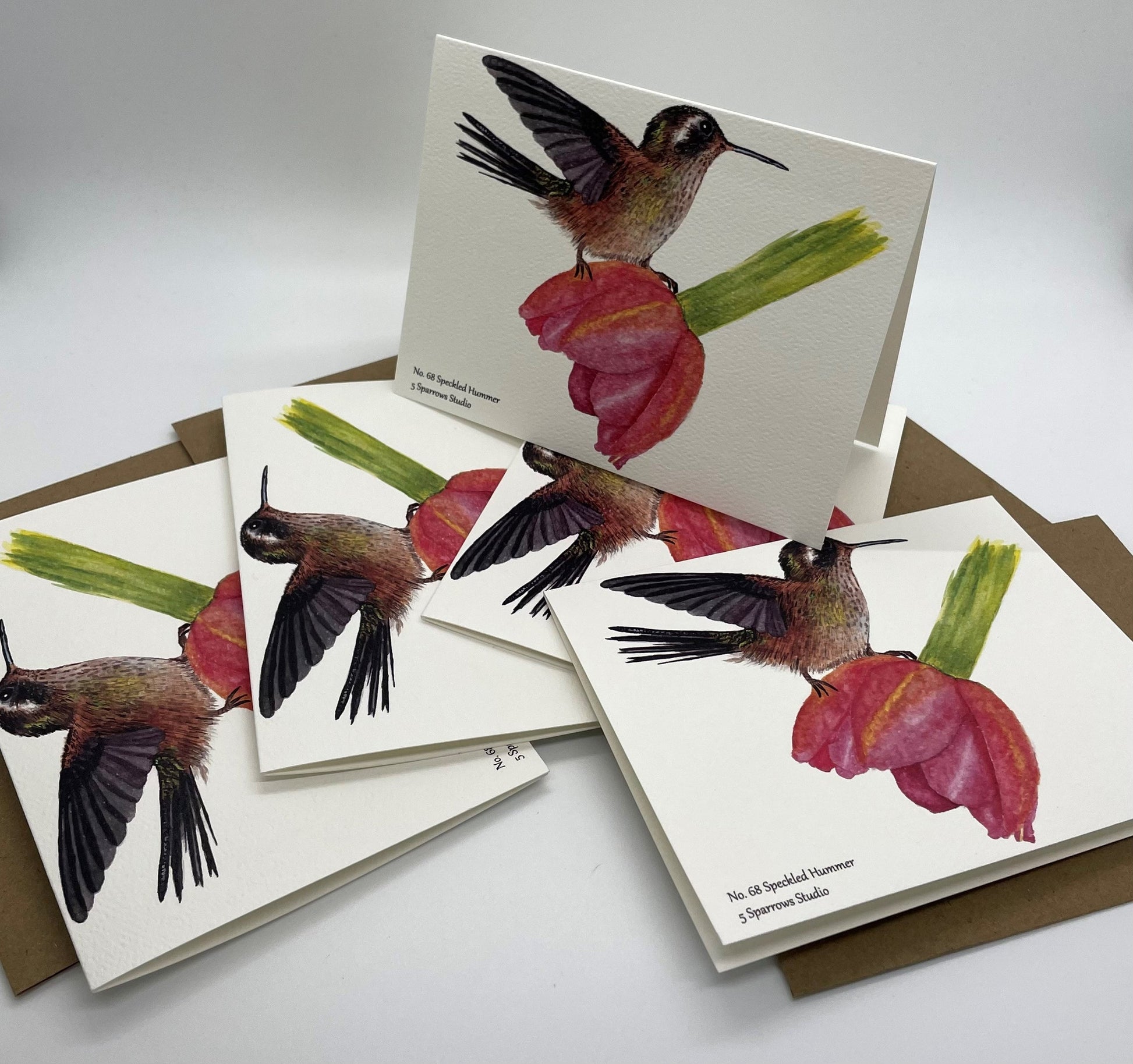 Speckled Hummingbird - Bird Art by KB