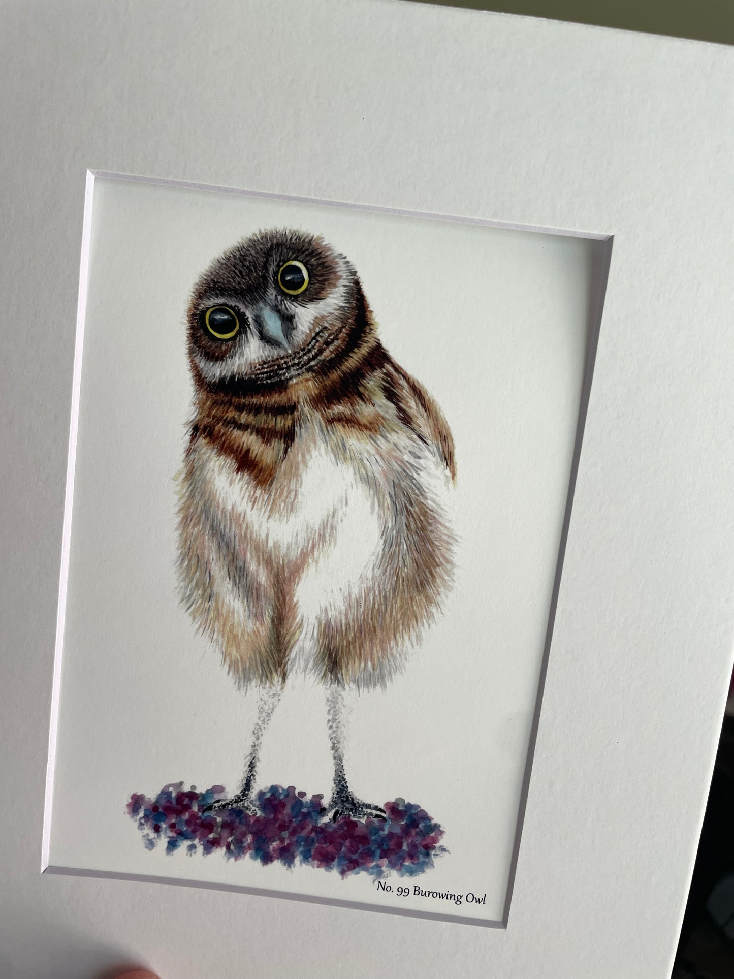 Burrowing Owl - Bird Art by KB