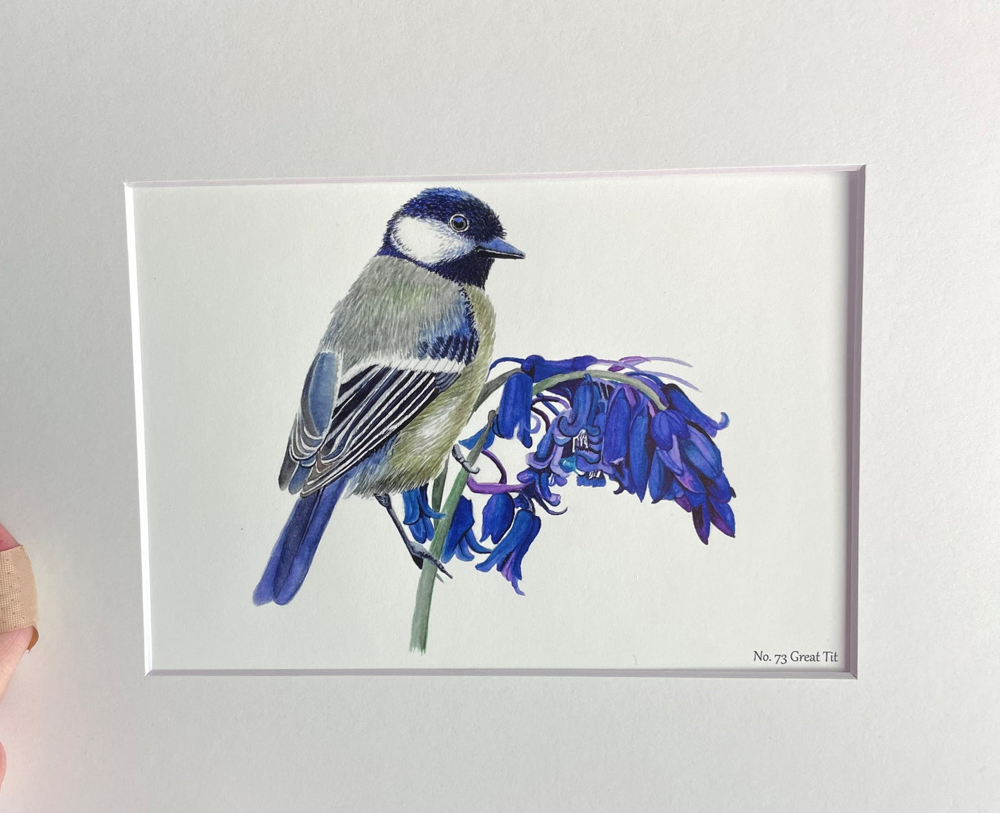 Great Tit - Bird Art by KB
