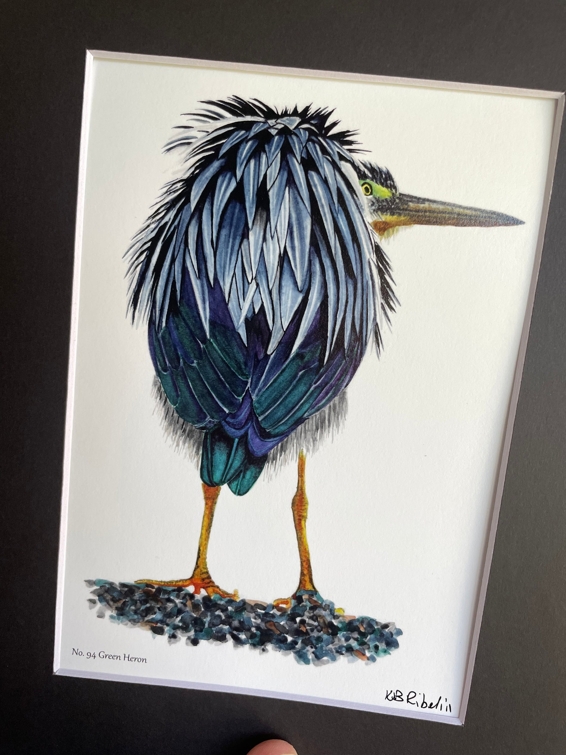 Green Heron - Bird Art by KB