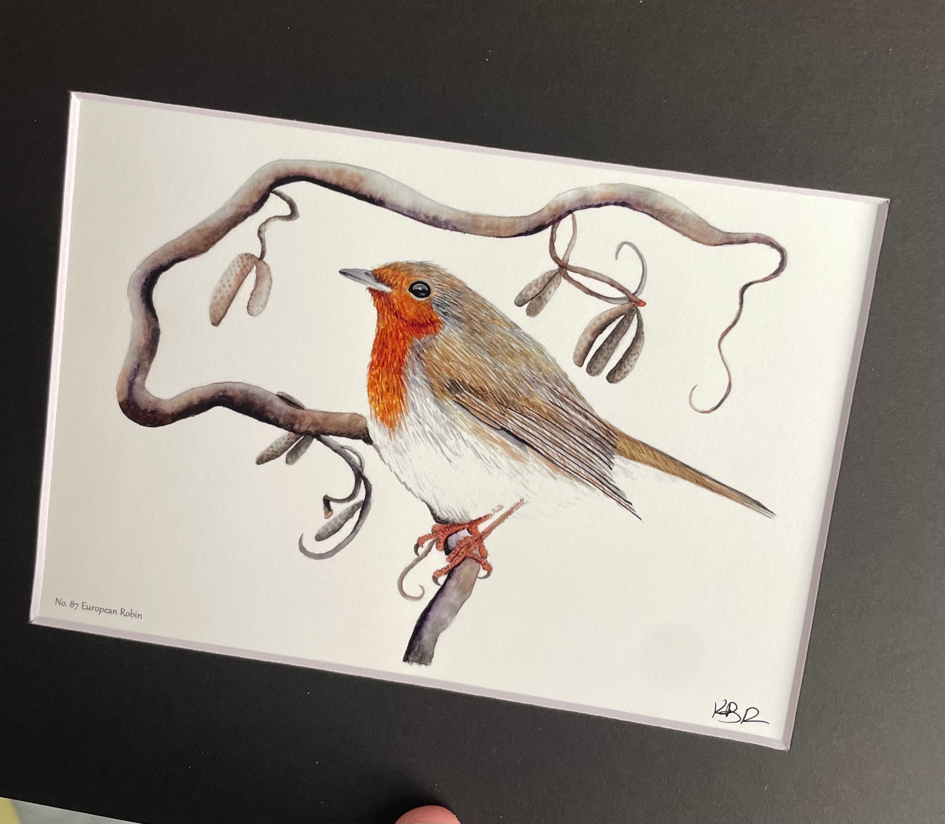 European Robin - Bird Art by KB
