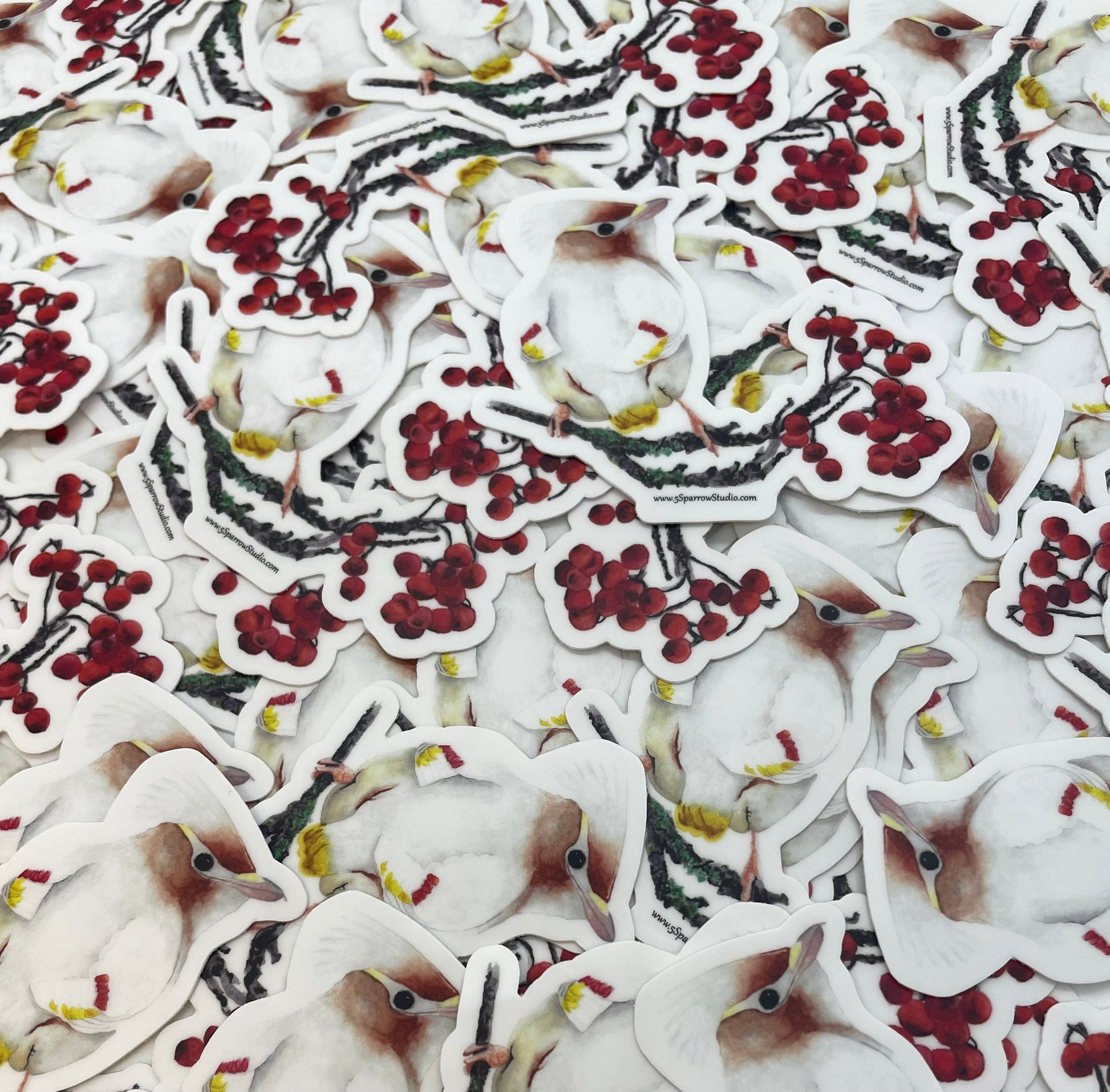 Leucistic Bohemian Waxwing - Bird Art by KB