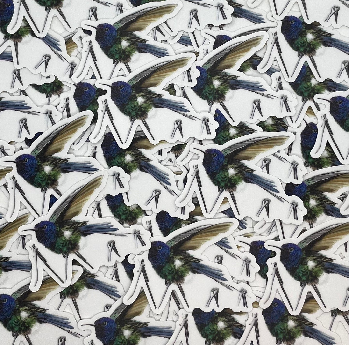 Swallow-Tailed Hummingbird - Bird Art by KB