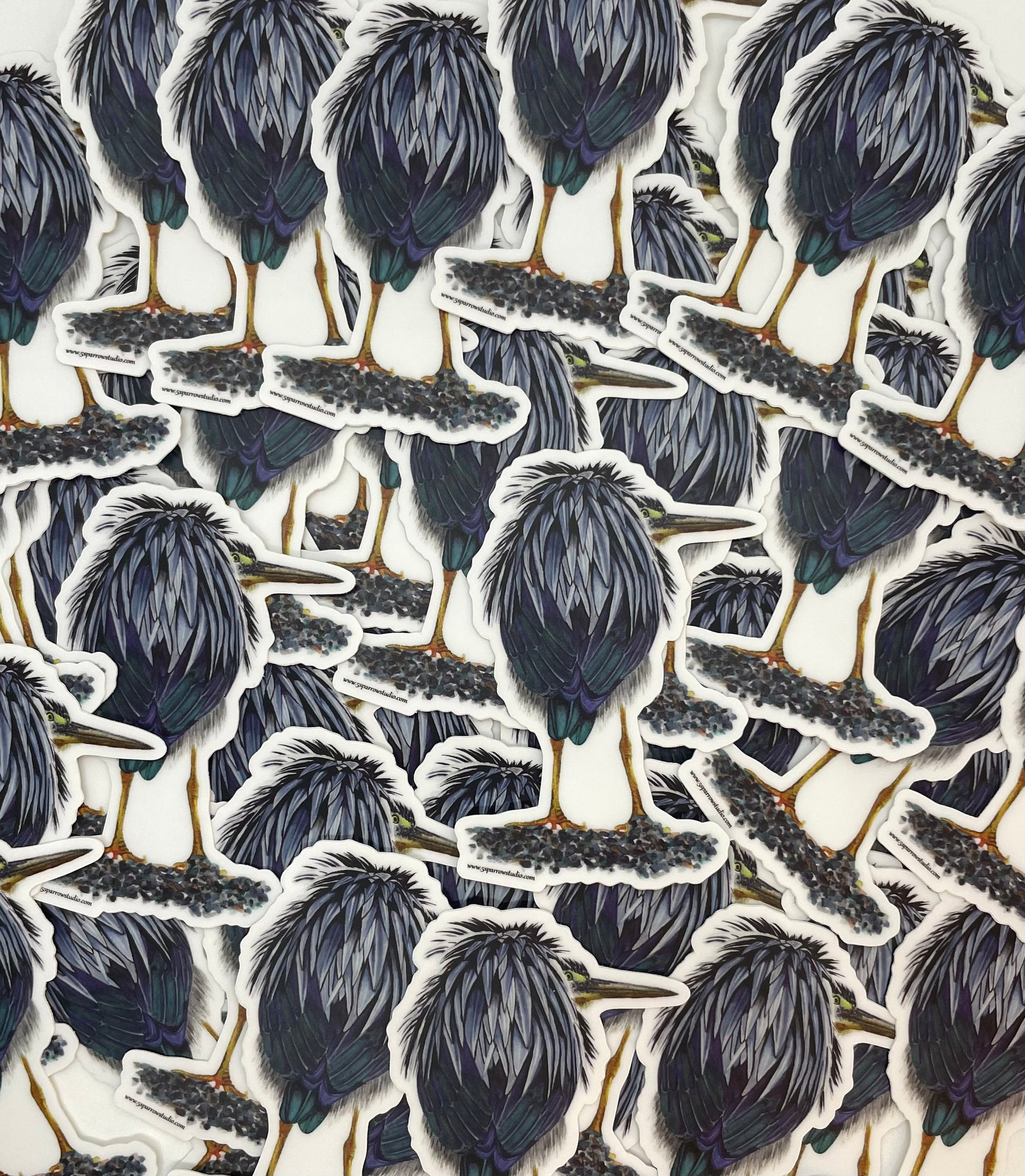 Green Heron - Bird Art by KB