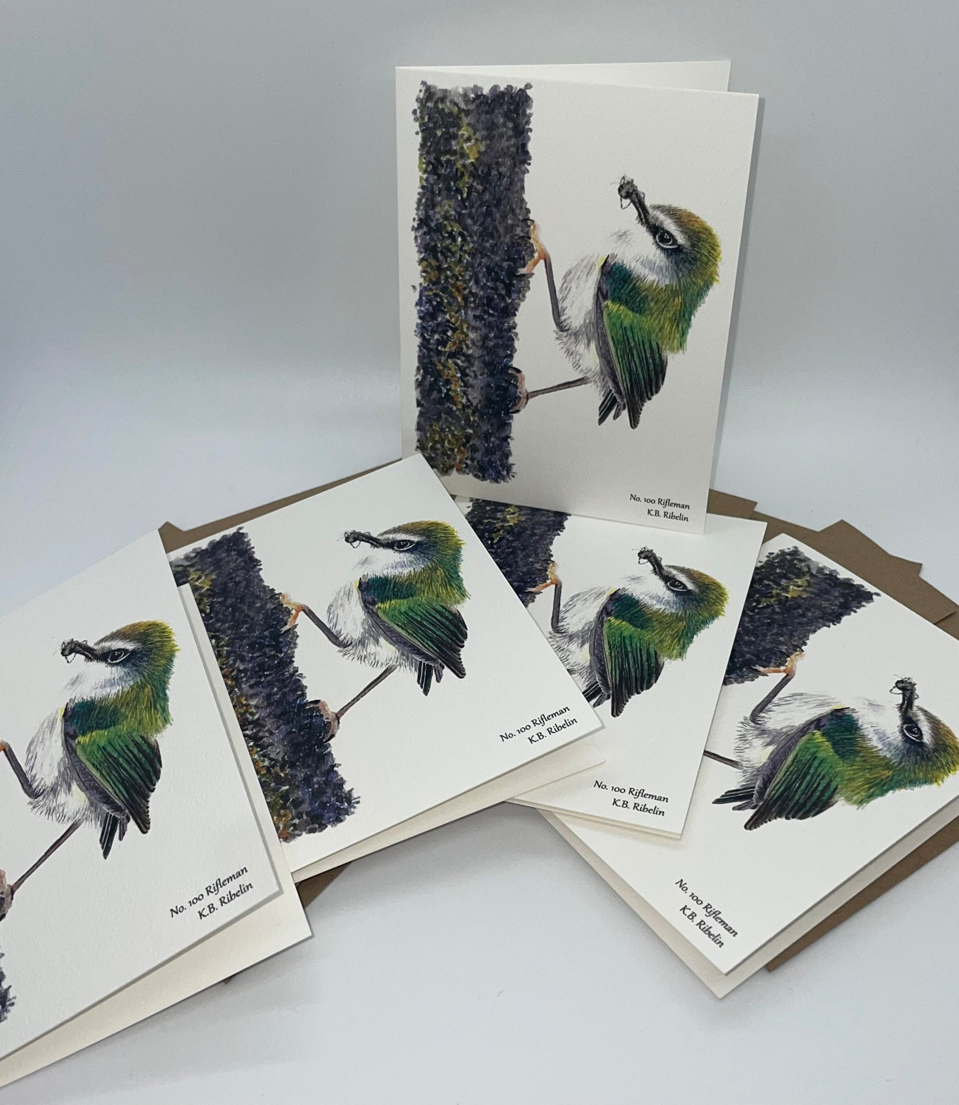 Rifleman - Bird Art by KB