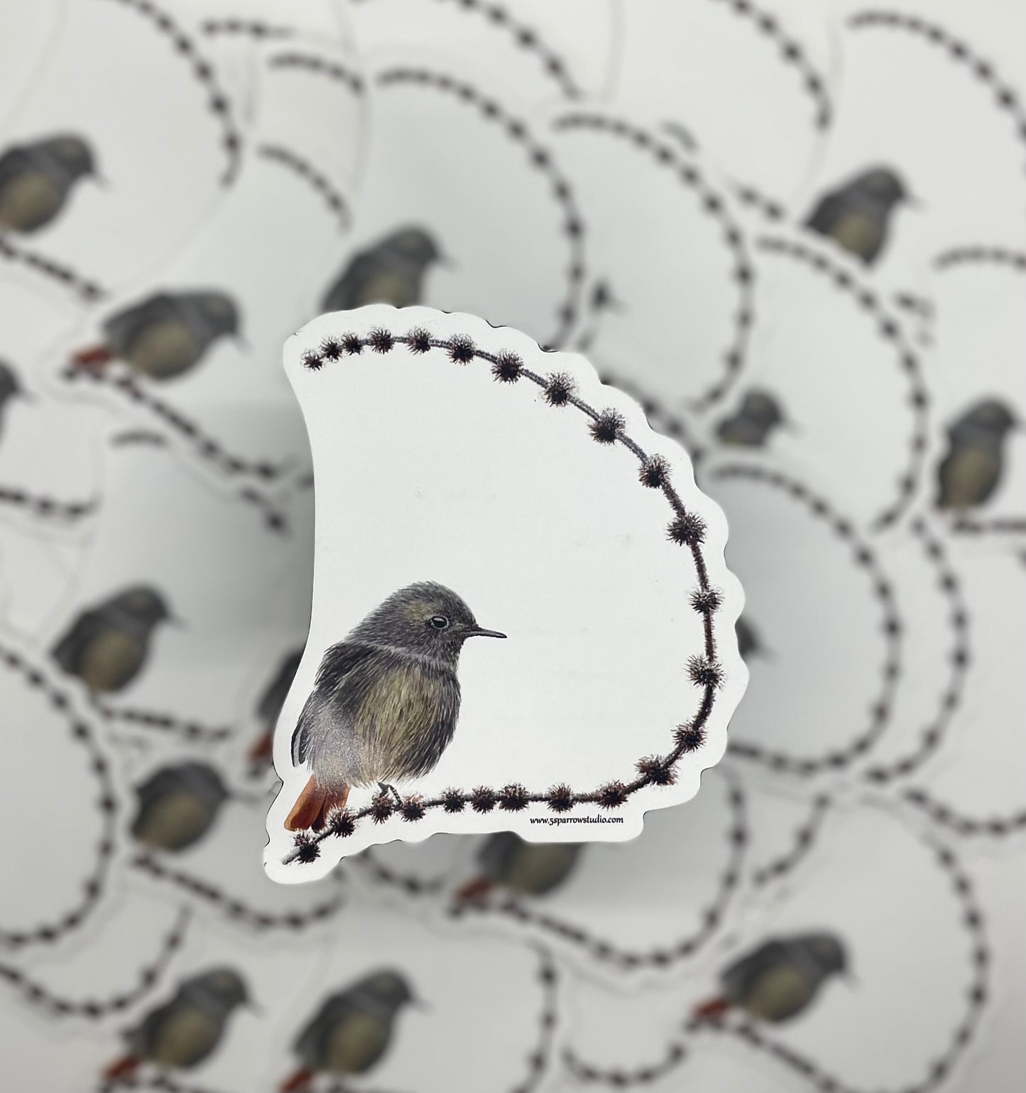 Black Redstart - Bird Art by KB