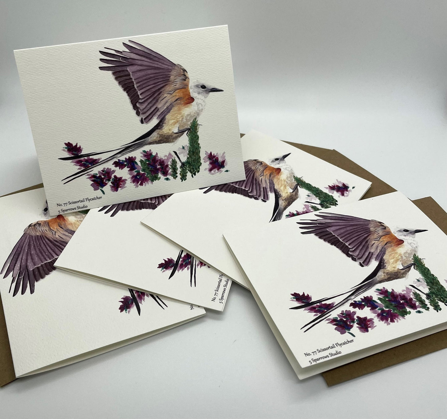 Scissortail Flycatcher - Bird Art by KB