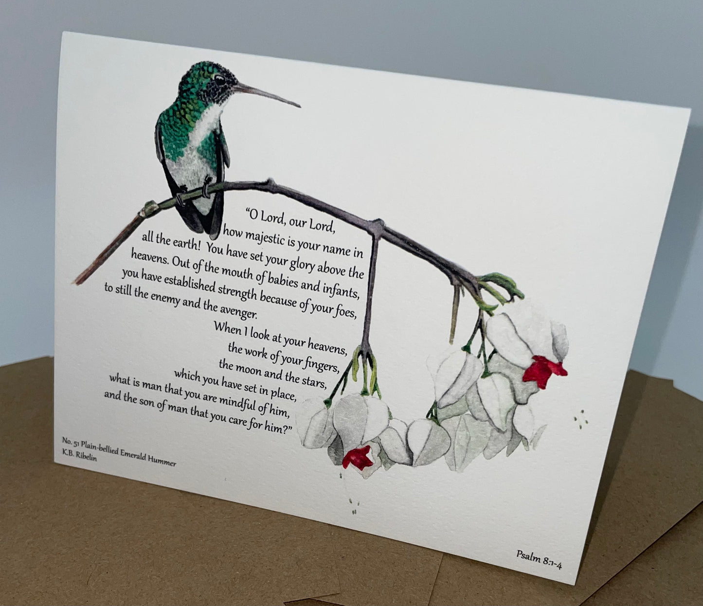 Hummers of Hope Notecards, Set 2