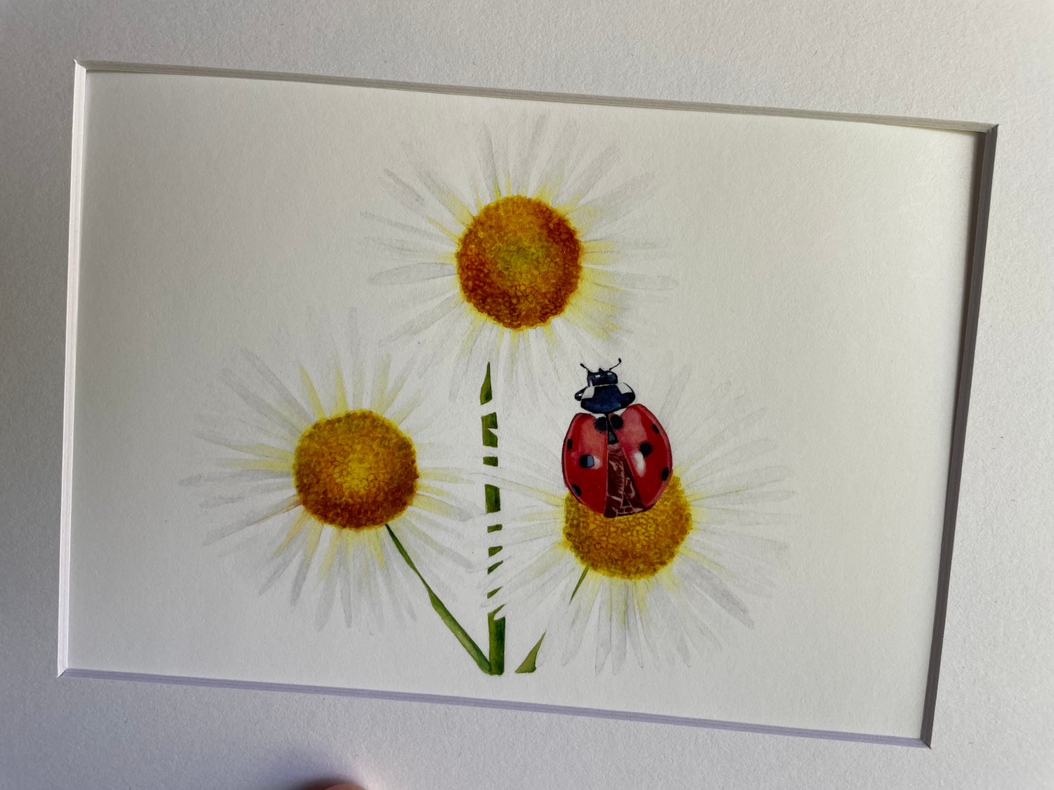 Other Artwork