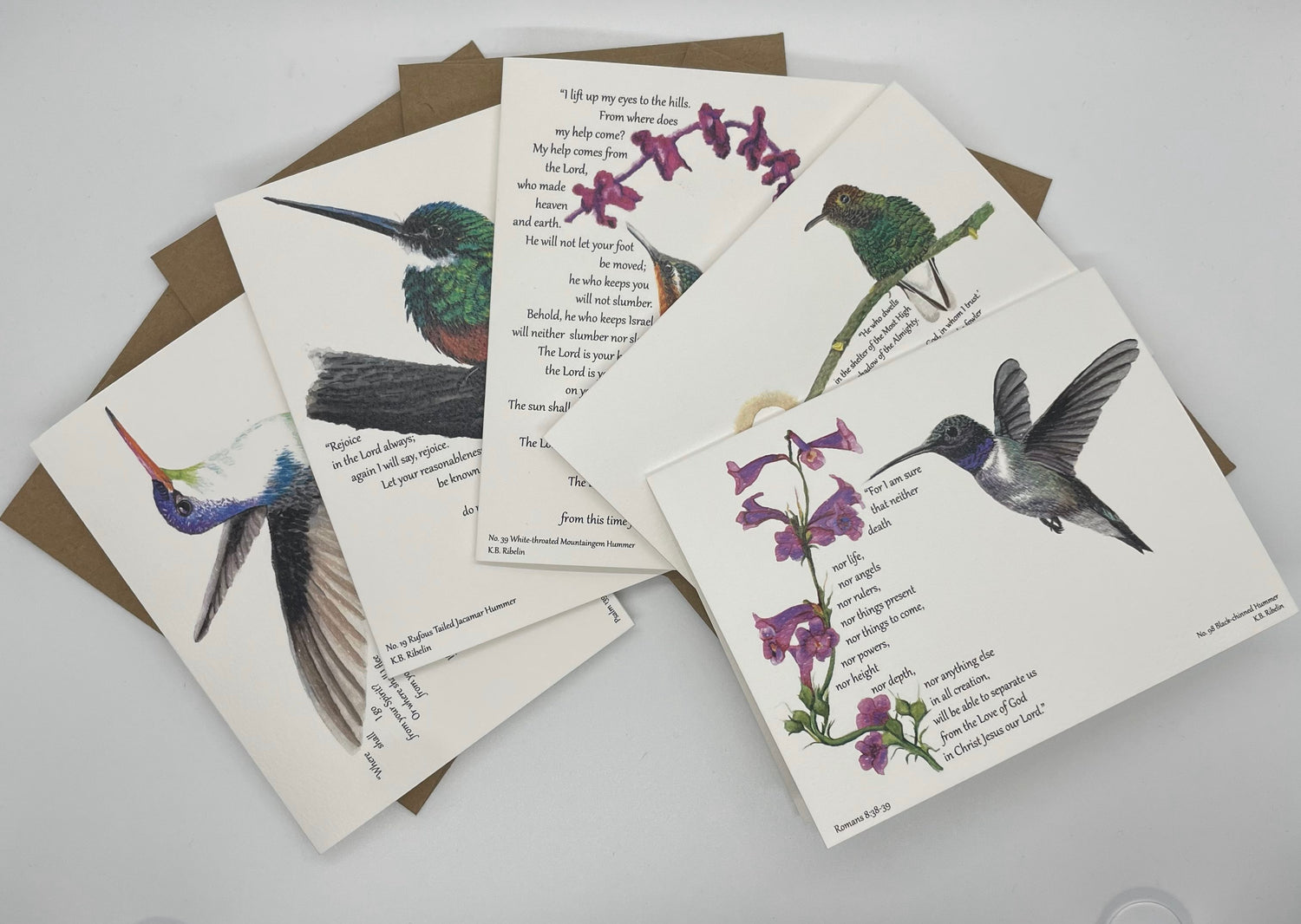 Notecard Variety Bundles!