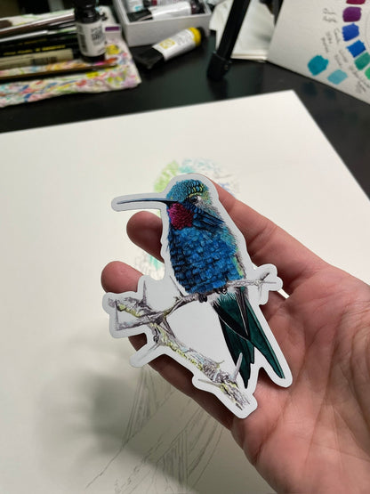 Blue-tufted Starthroat Hummingbird - Bird Art by KB - Magnet