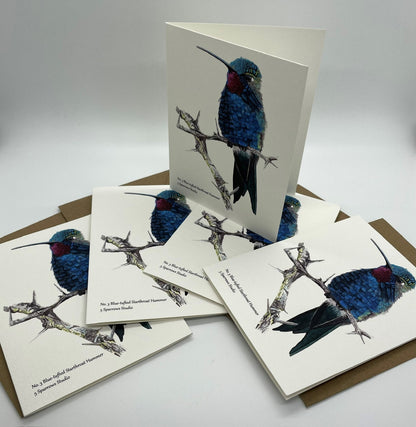Blue-tufted Starthroat Hummingbird - Bird Art by KB - Notecard Set