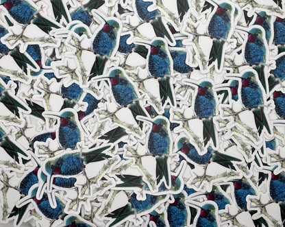Blue-tufted Starthroat Hummingbird - Bird Art by KB - Sticker