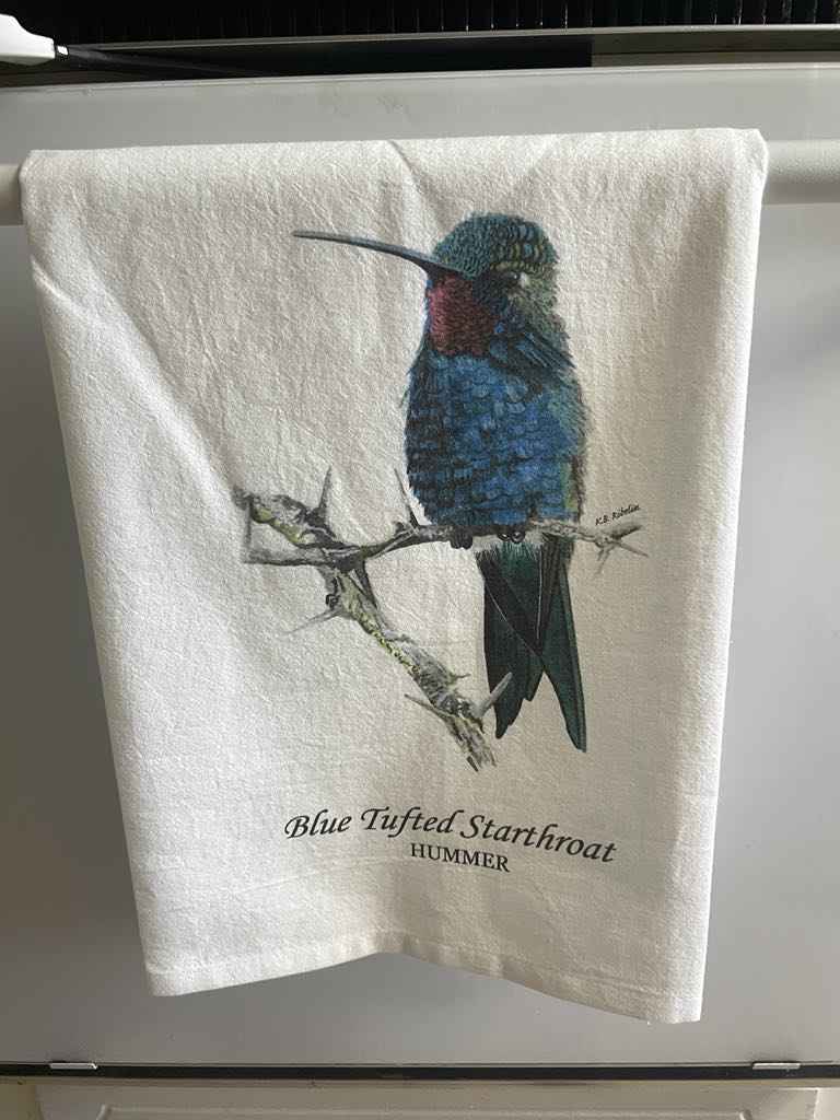 Blue-tufted Starthroat Hummingbird - Bird Art by KB - Towel