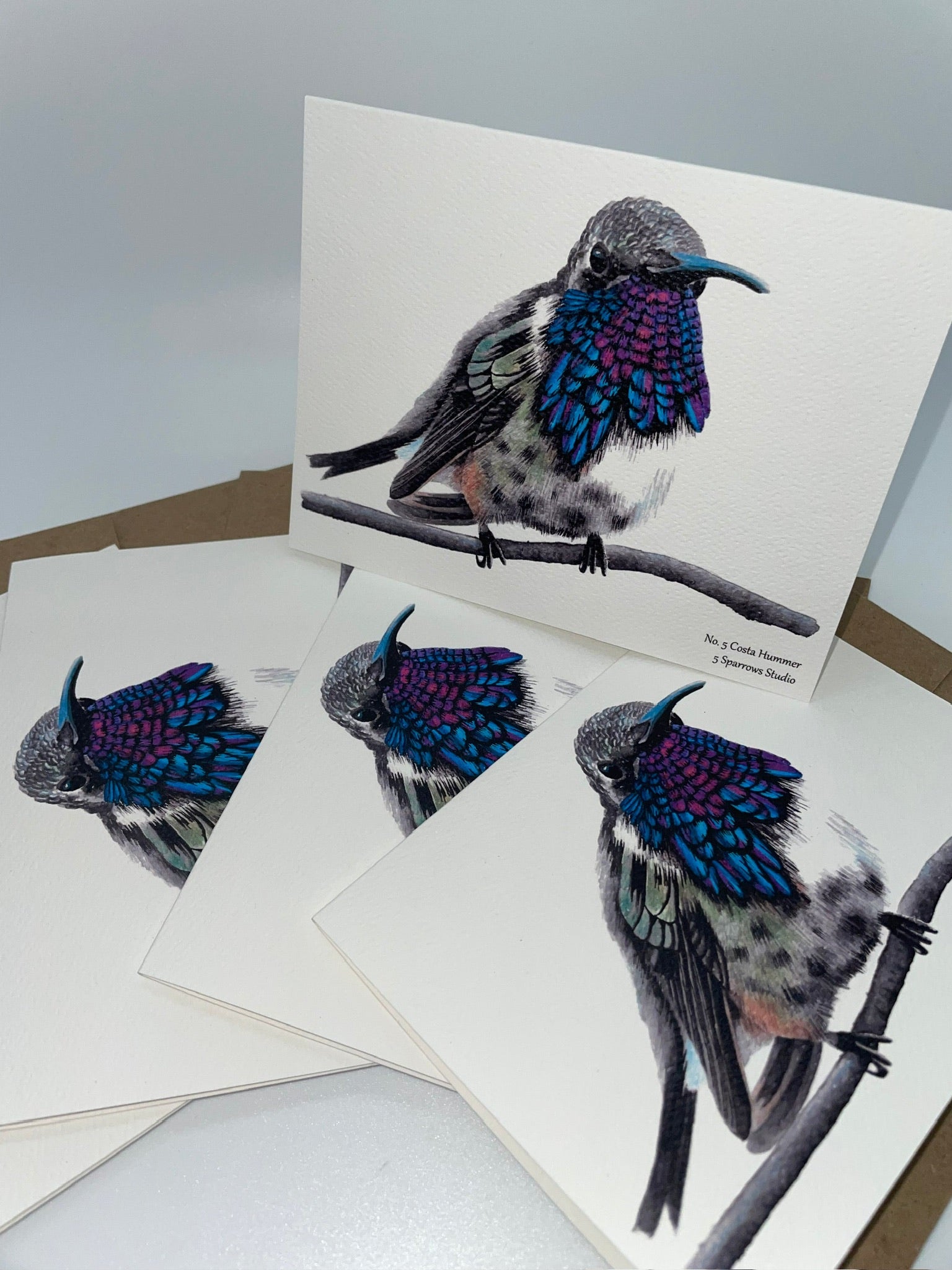 Costa's Hummingbird - Bird Art by KB - Notecard Set