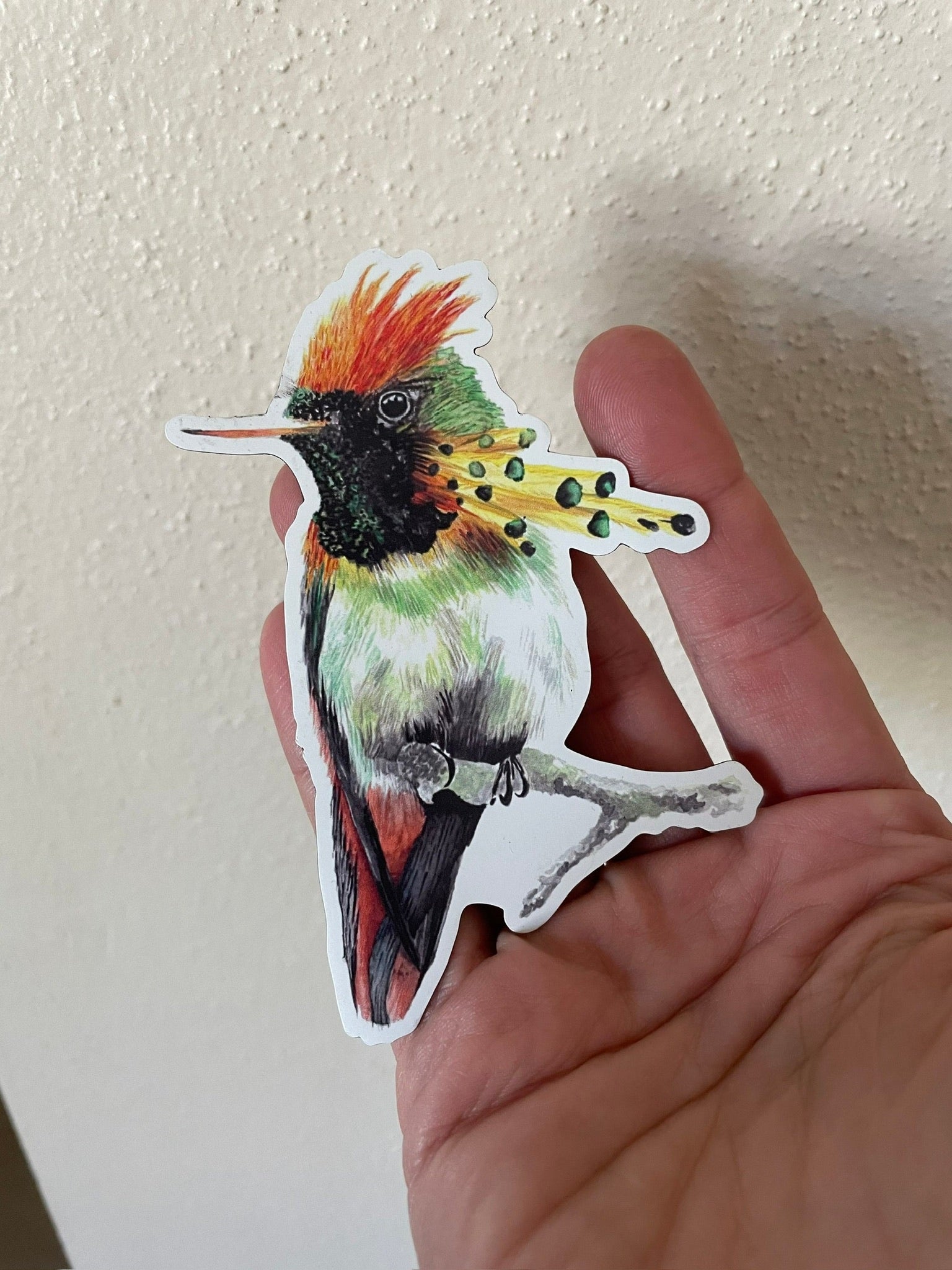 Tufted Coquette - Bird Art by KB - Magnet