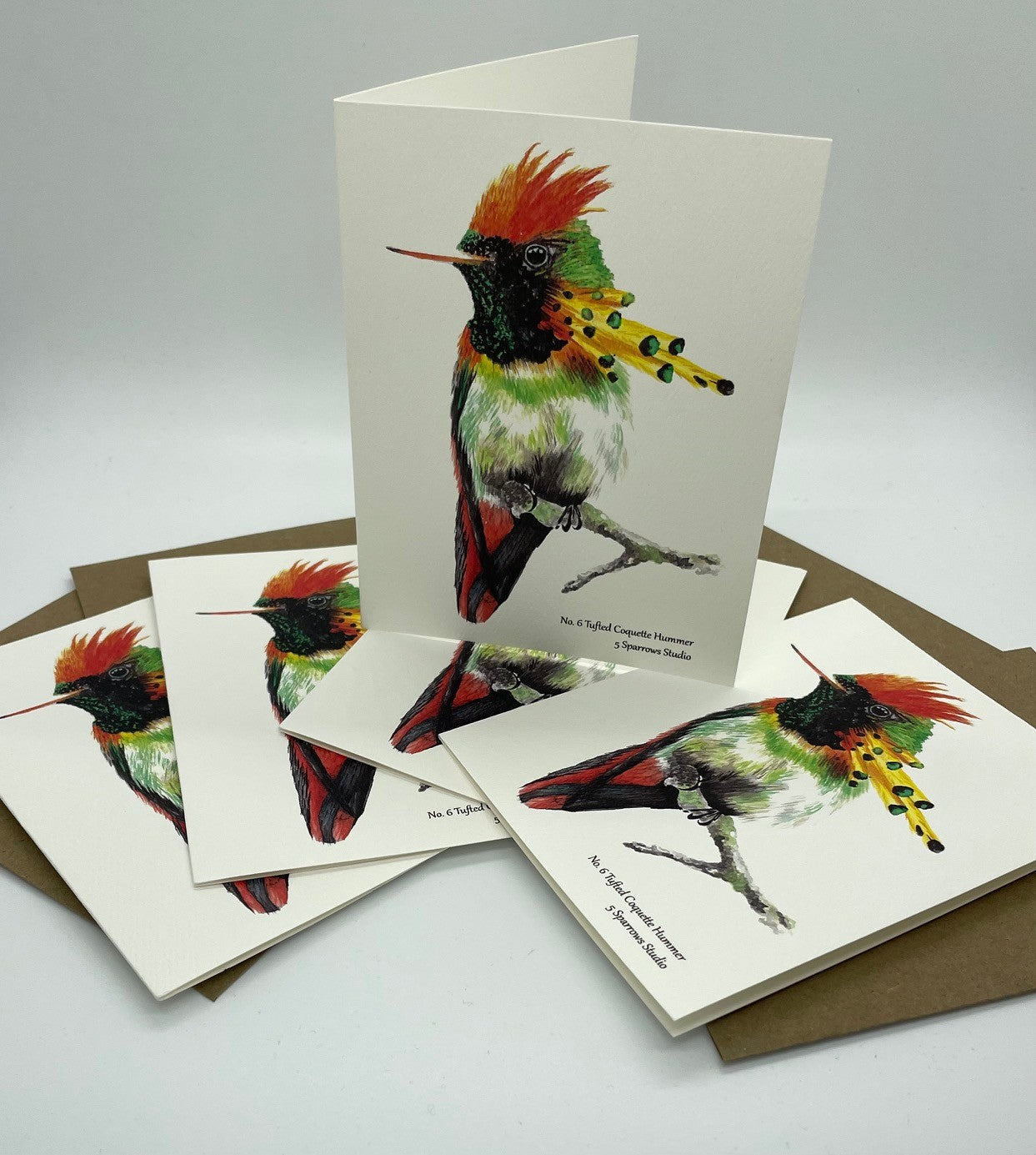 Tufted Coquette - Bird Art by KB - Notecard Set