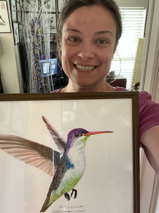 Violet-Crowned Hummingbird