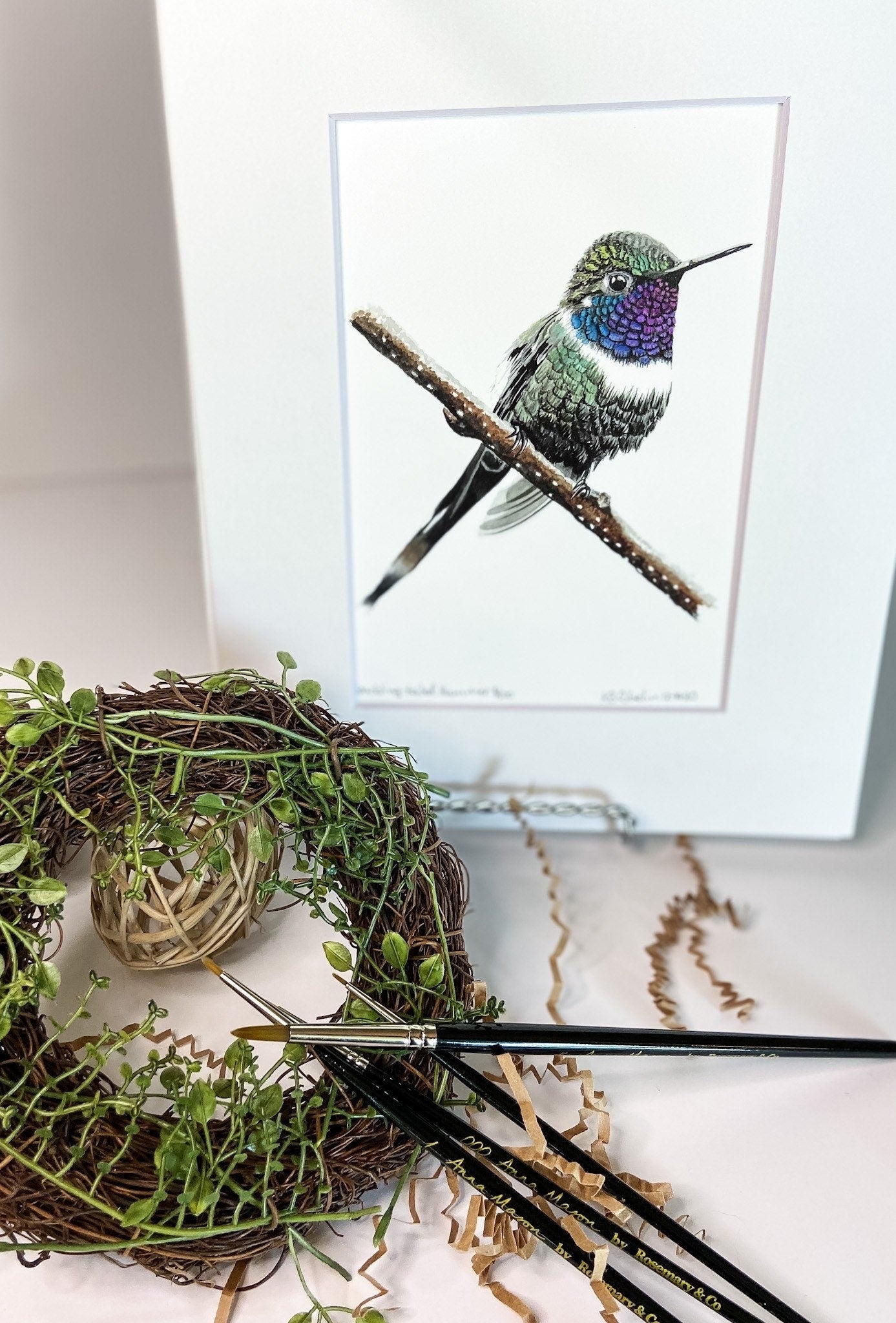 Sparkling-Tailed Hummer - Bird Art by KB - Giclee Print with White Mat