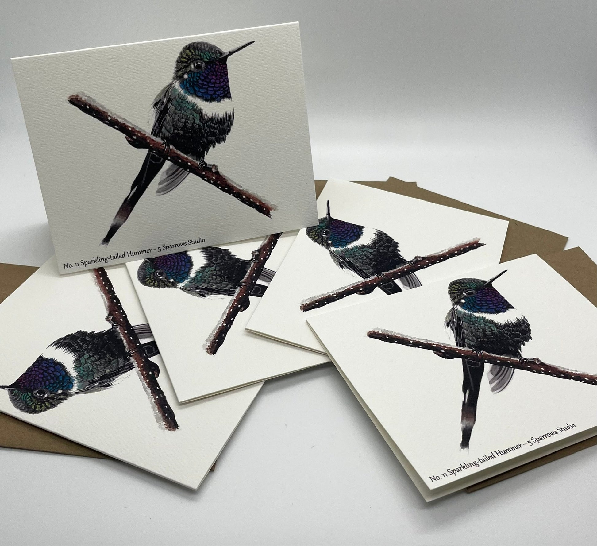 Sparkling-Tailed Hummer - Bird Art by KB - Notecard Set