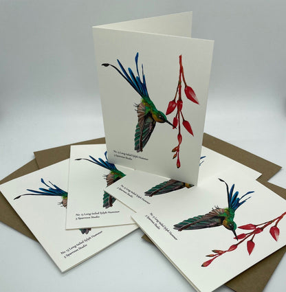 Long-tailed Sylph - Bird Art by KB - Notecard Set