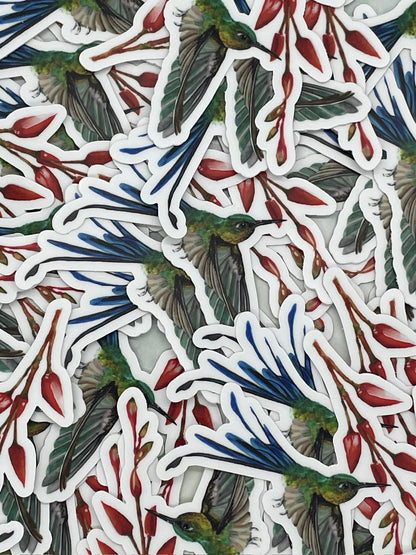 Long-tailed Sylph - Bird Art by KB - Sticker